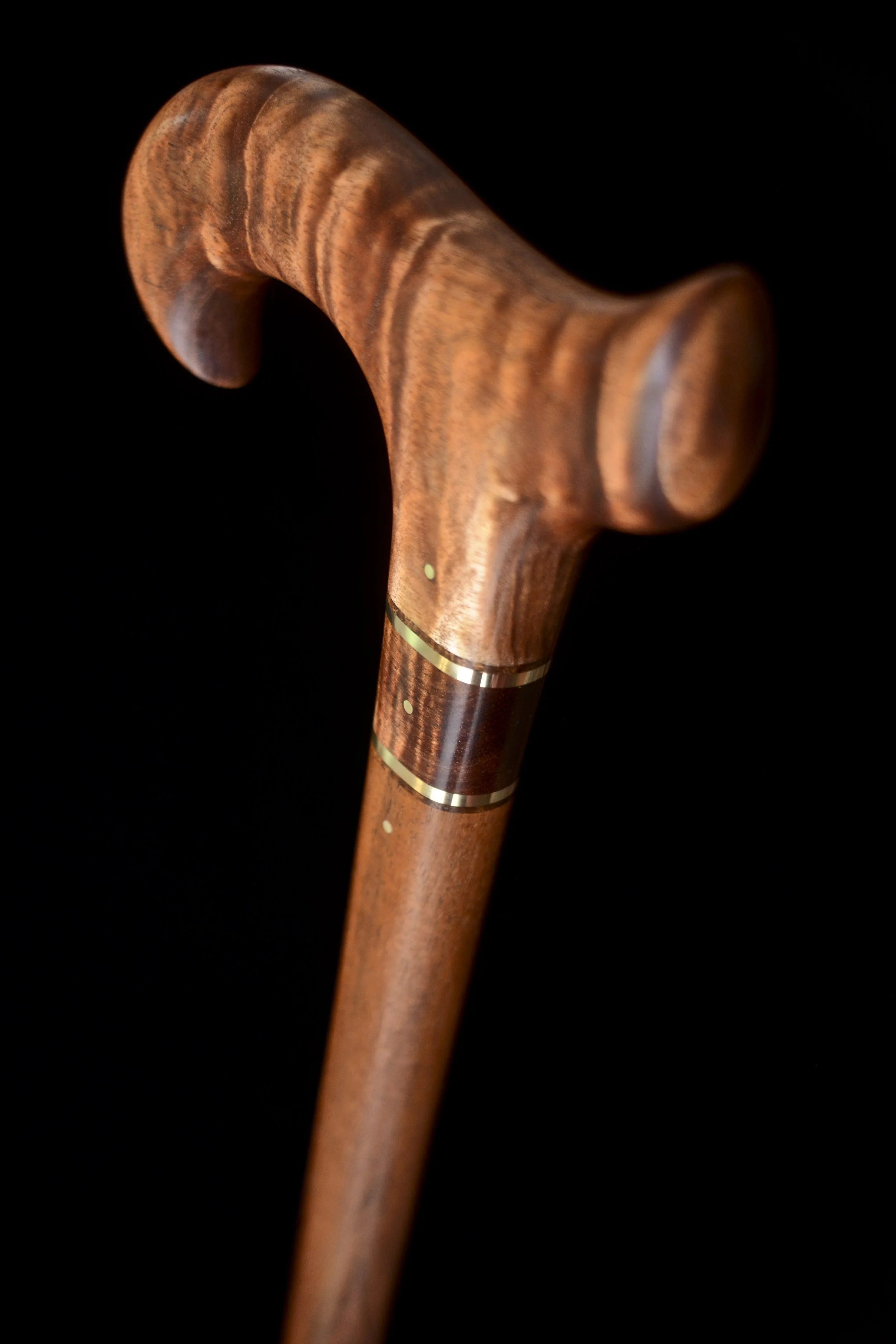 Tasmanian Blackwood, Tzalam 3.jpg