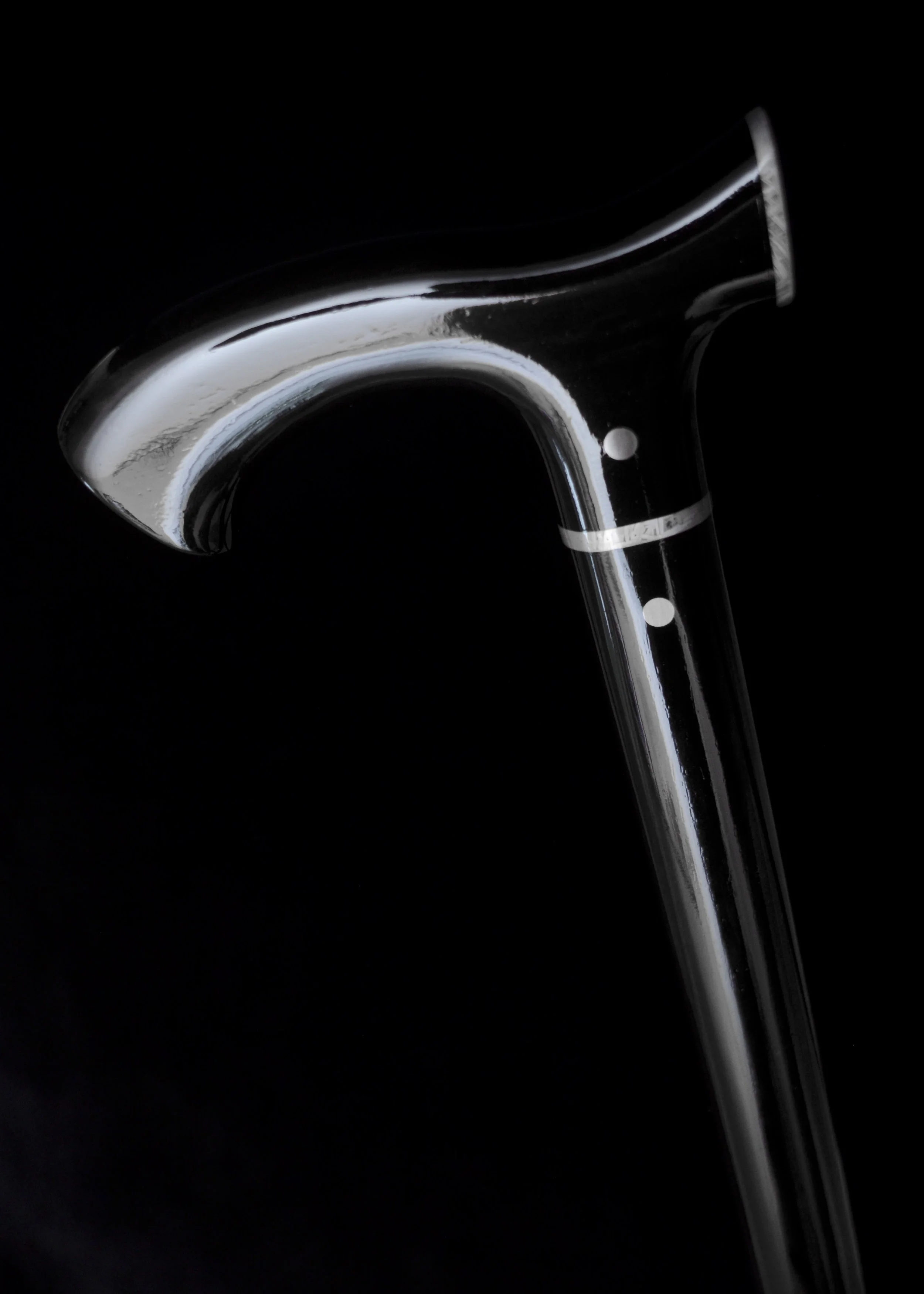 Ebony, Meteorite 6.jpg