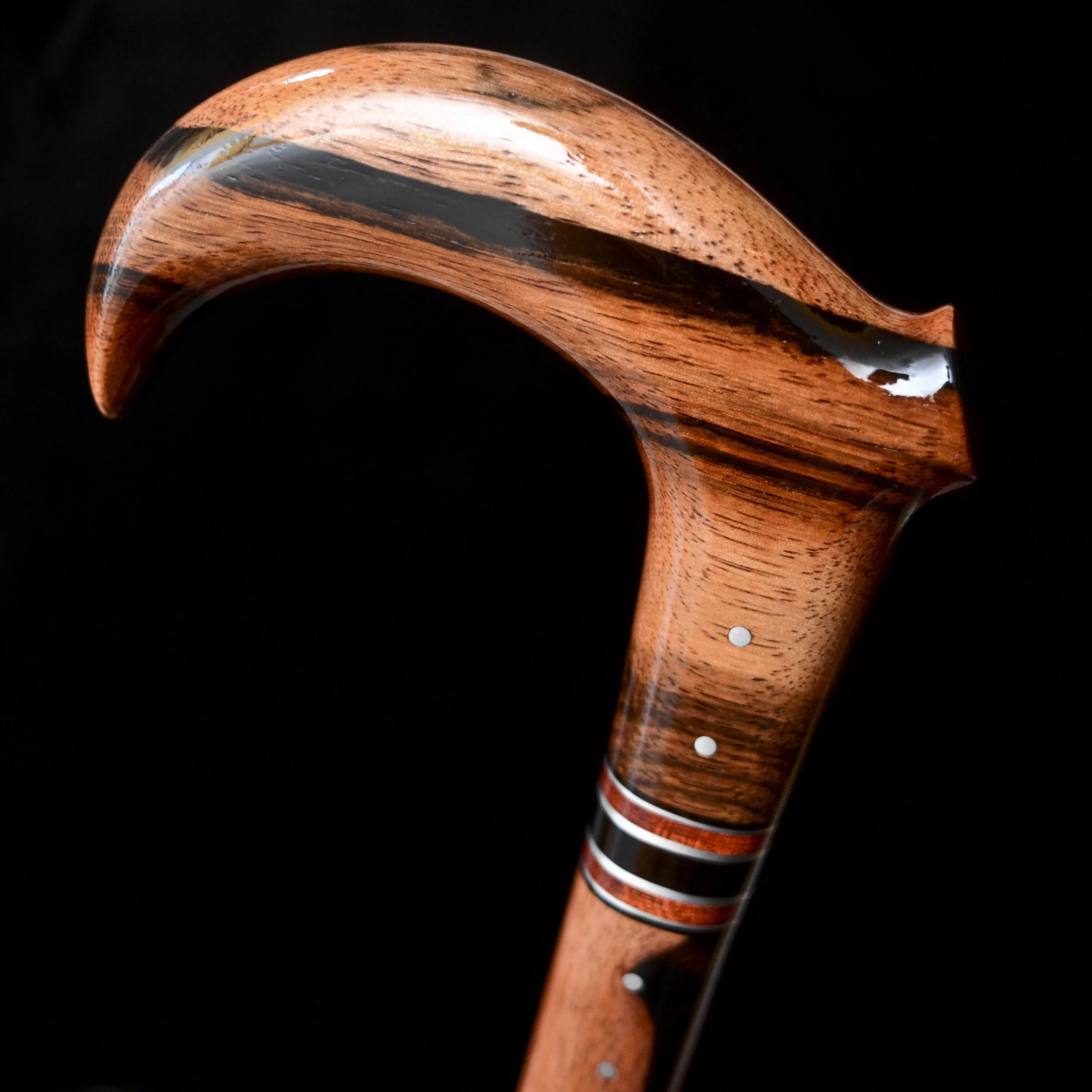 Macassar Claw 8.jpg