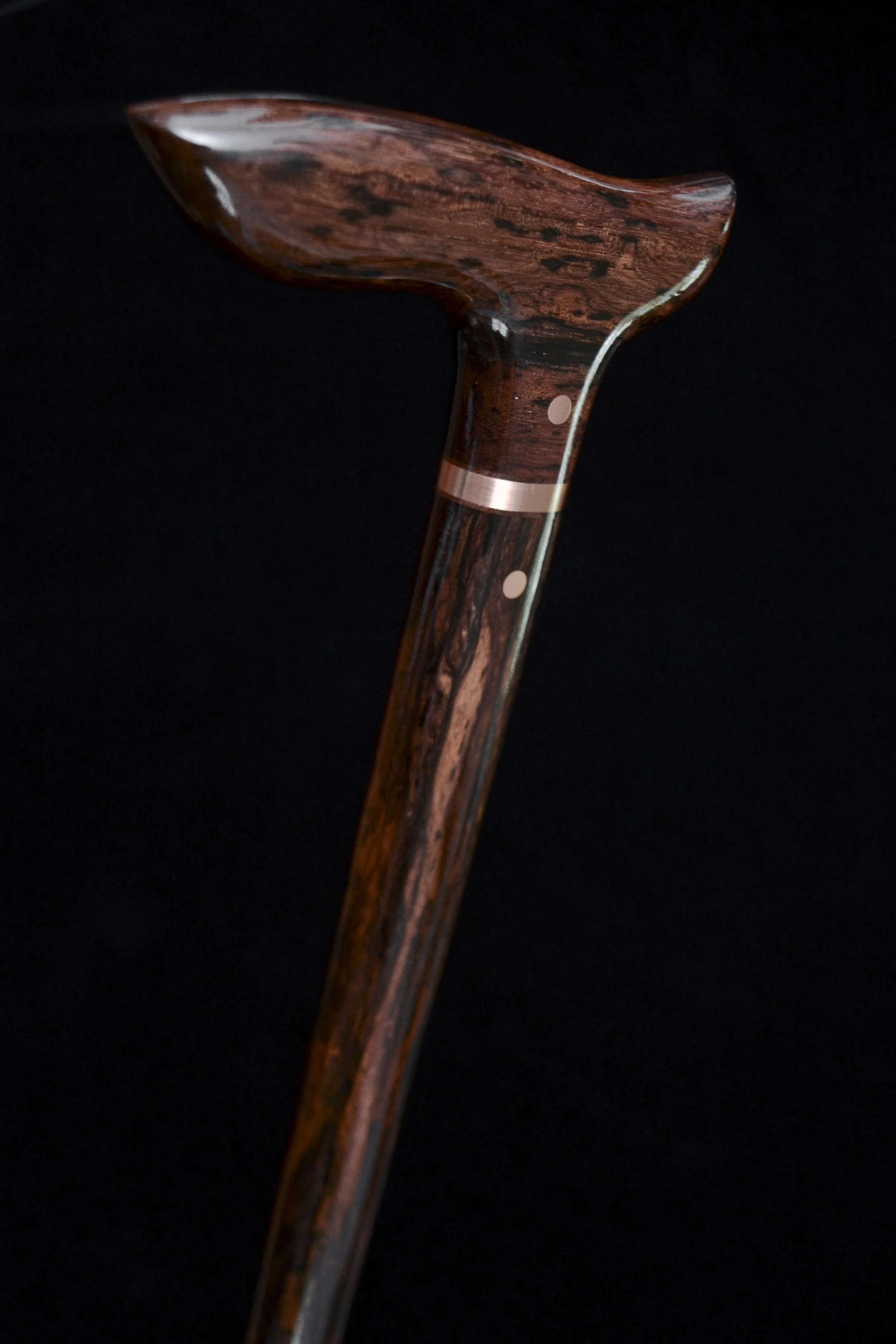 Lanceolaria 5.jpg