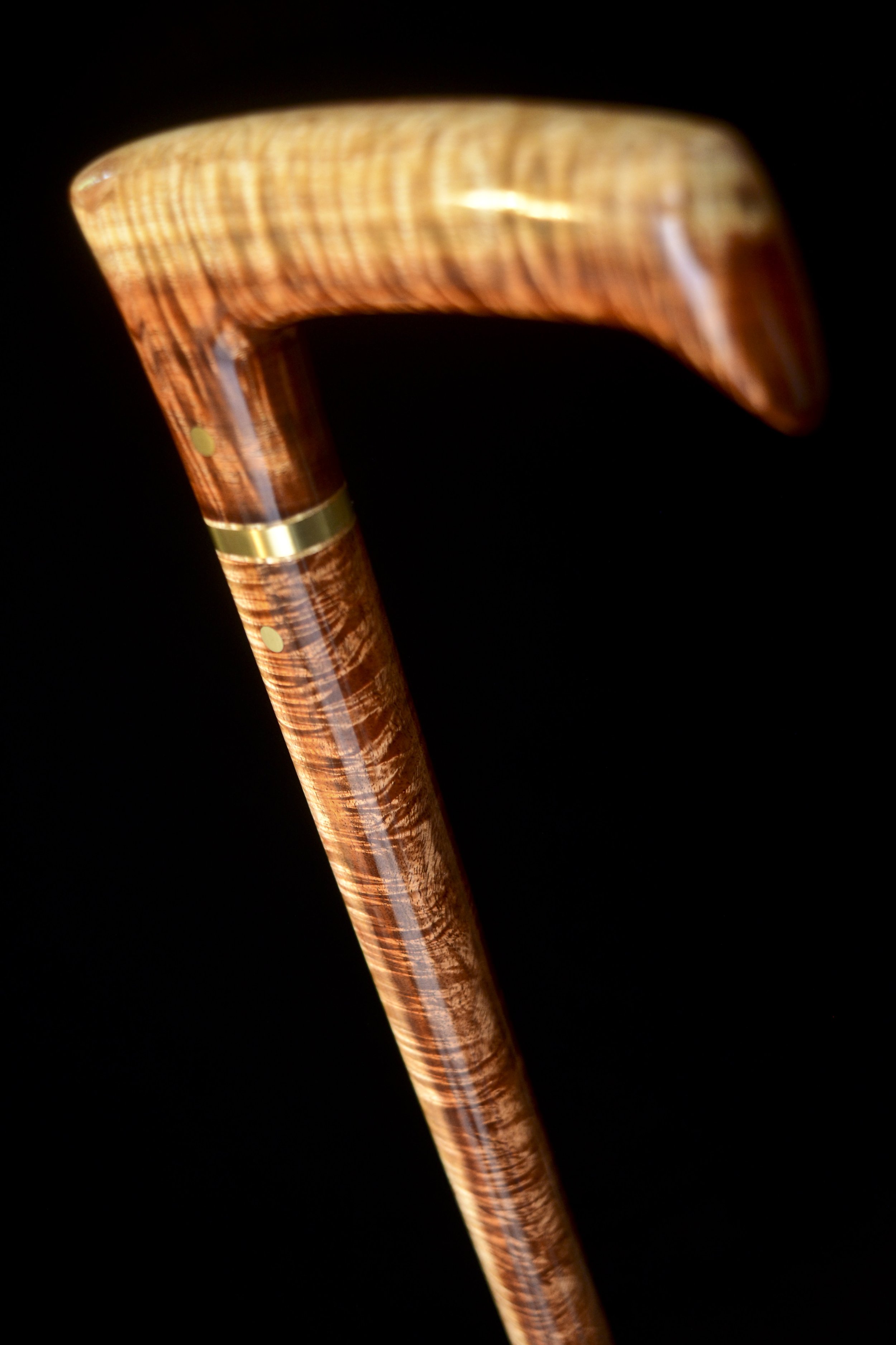 Tasmanian Blackwood 5.jpg