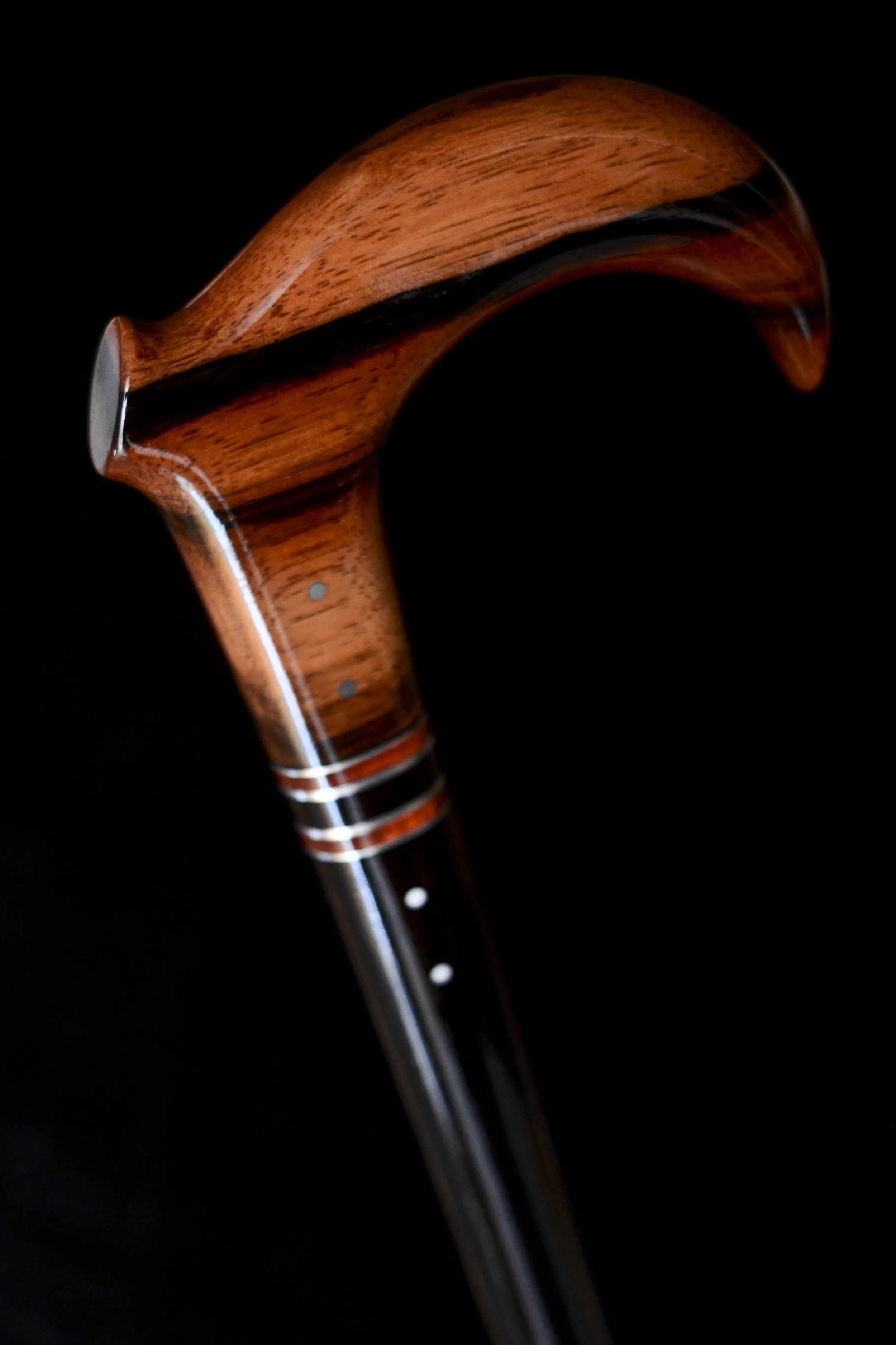 Macassar Claw 5.jpg