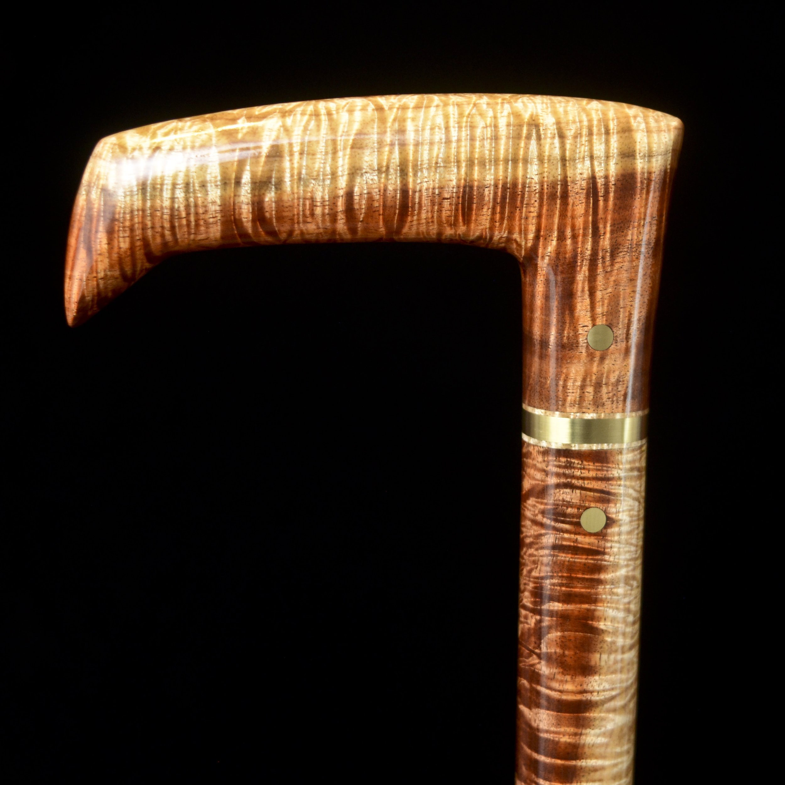 Tasmanian Blackwood 9.jpg