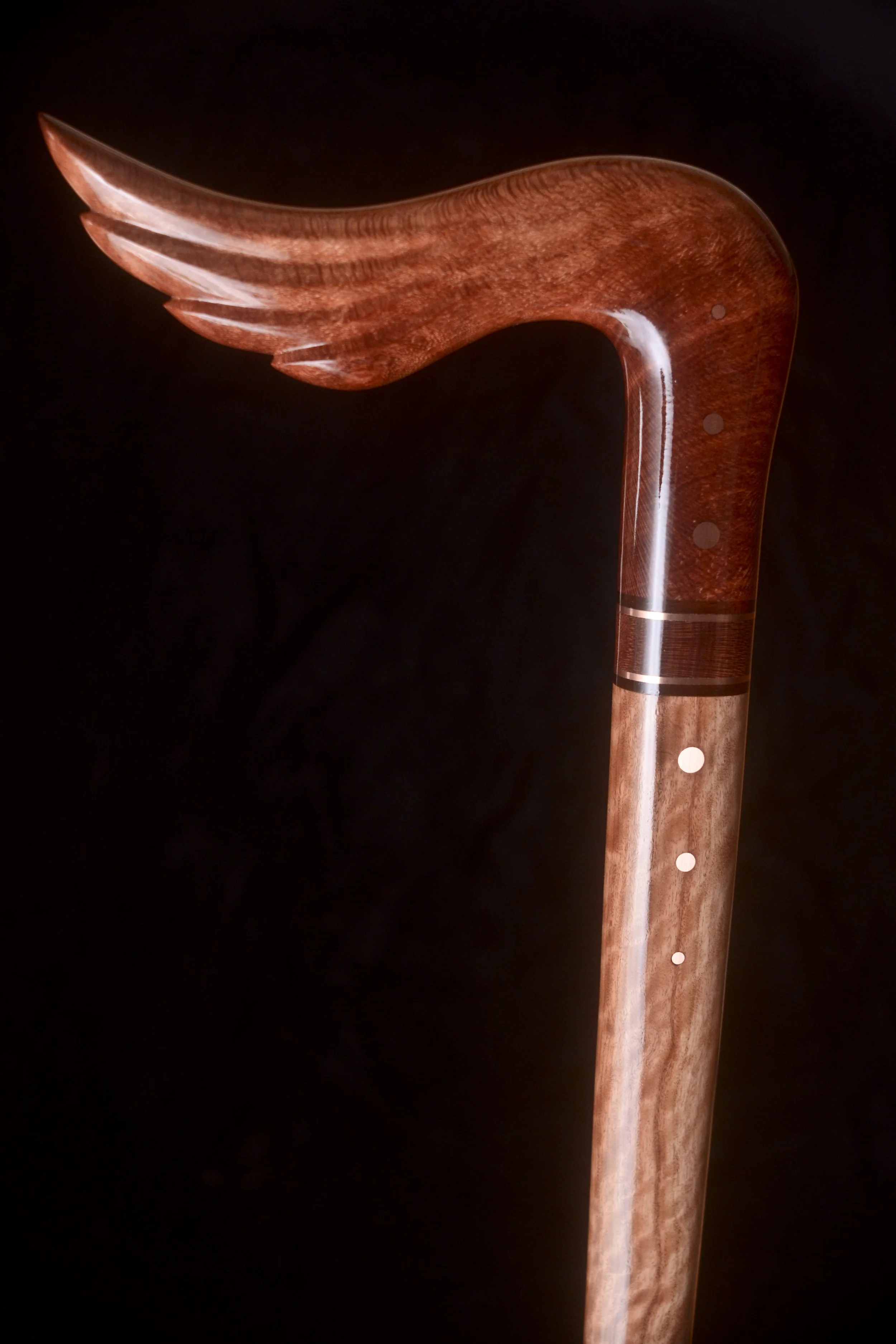 Needlewood, Coolibah  2.jpg