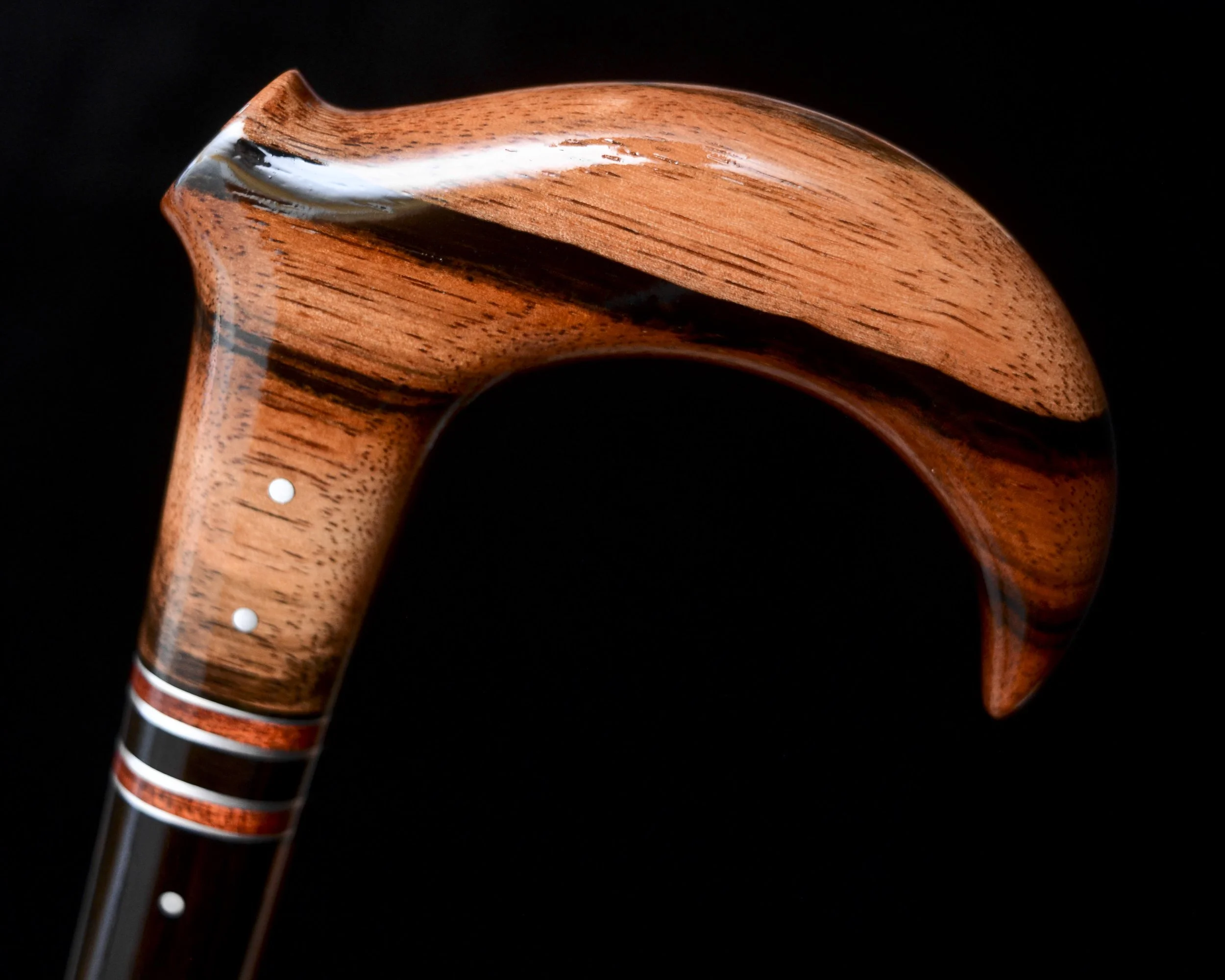 Macassar Claw 7.jpg