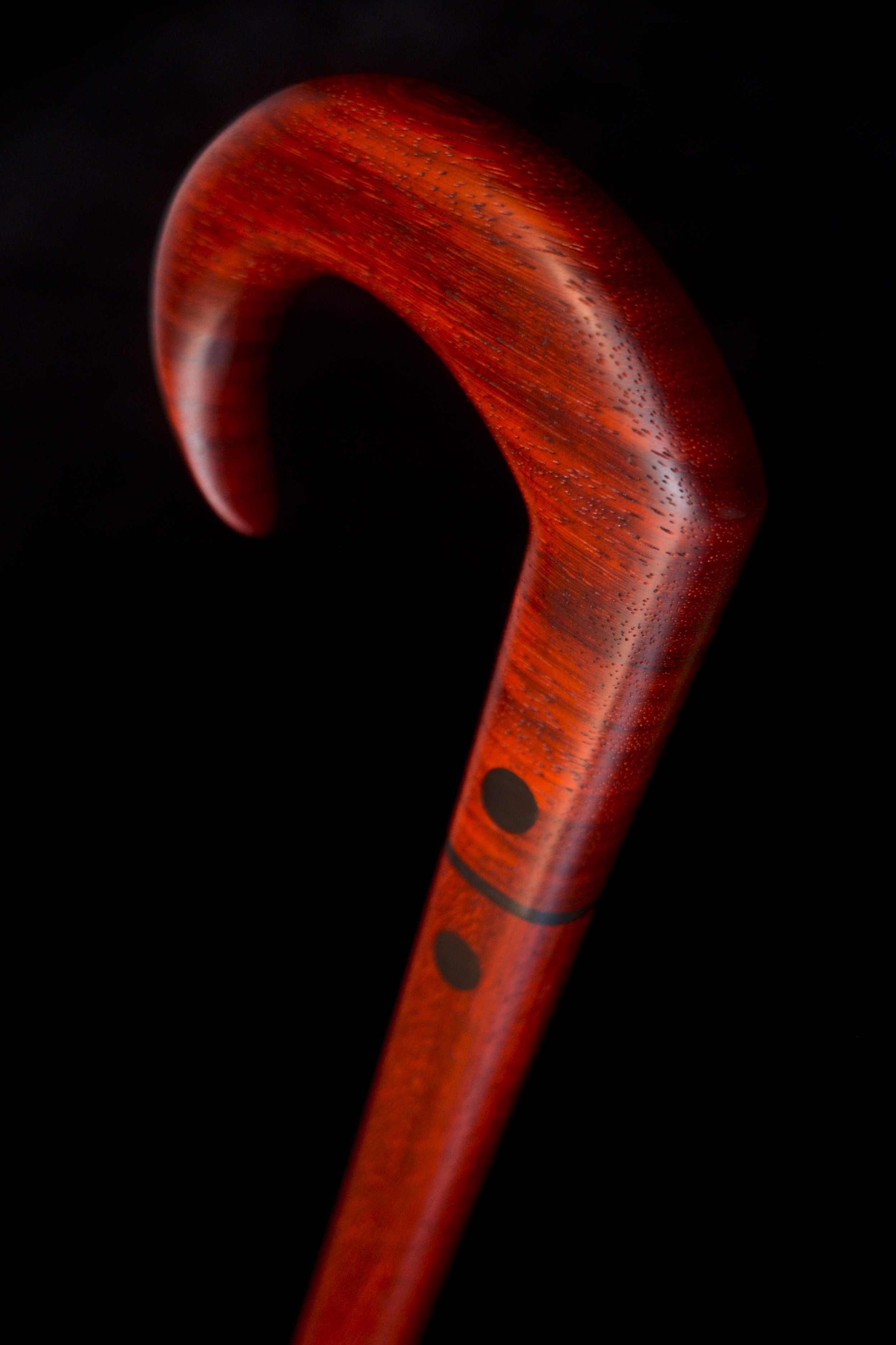 Padauk 3.jpg