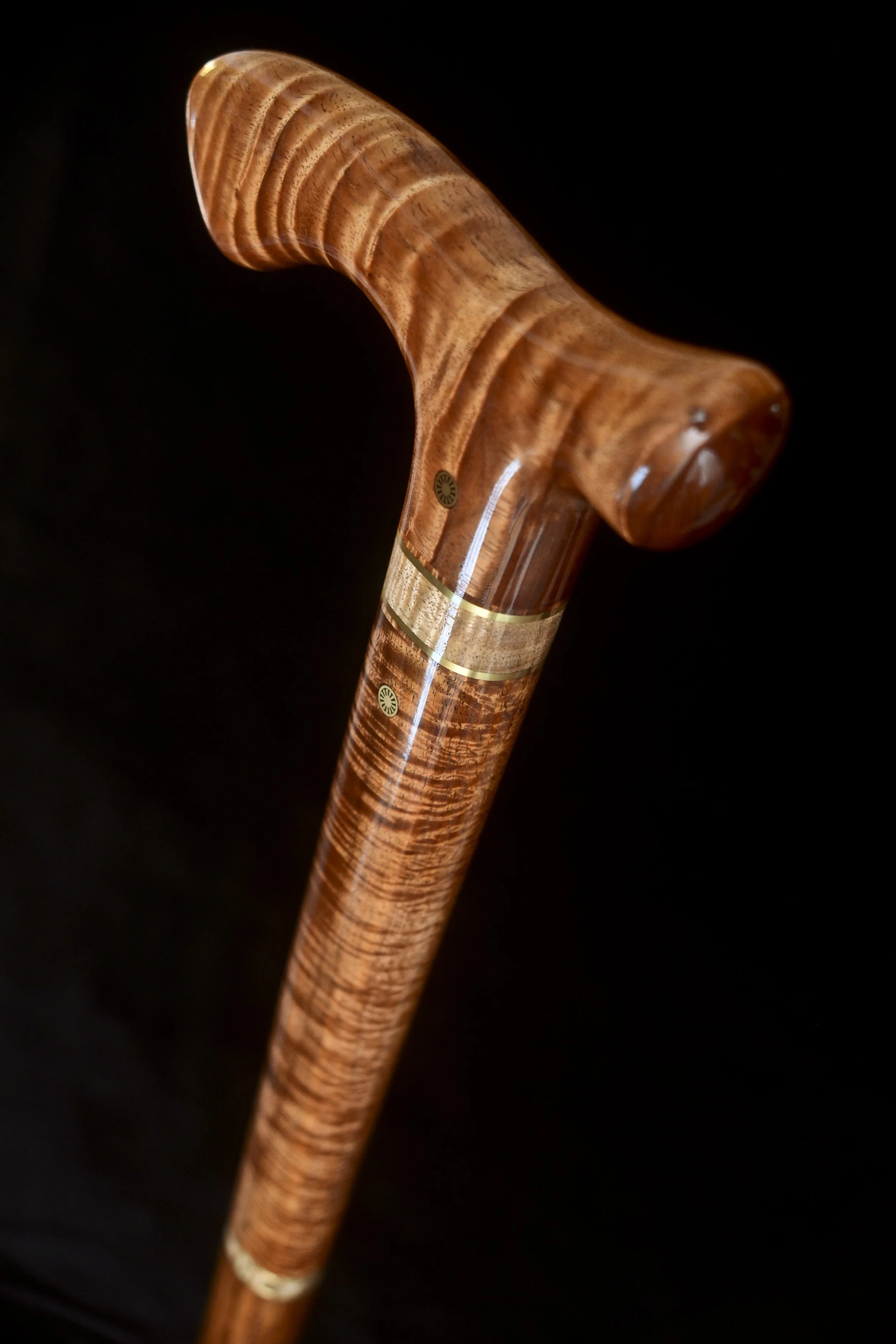 Tasmanian Blackwood, Koa  3.jpg