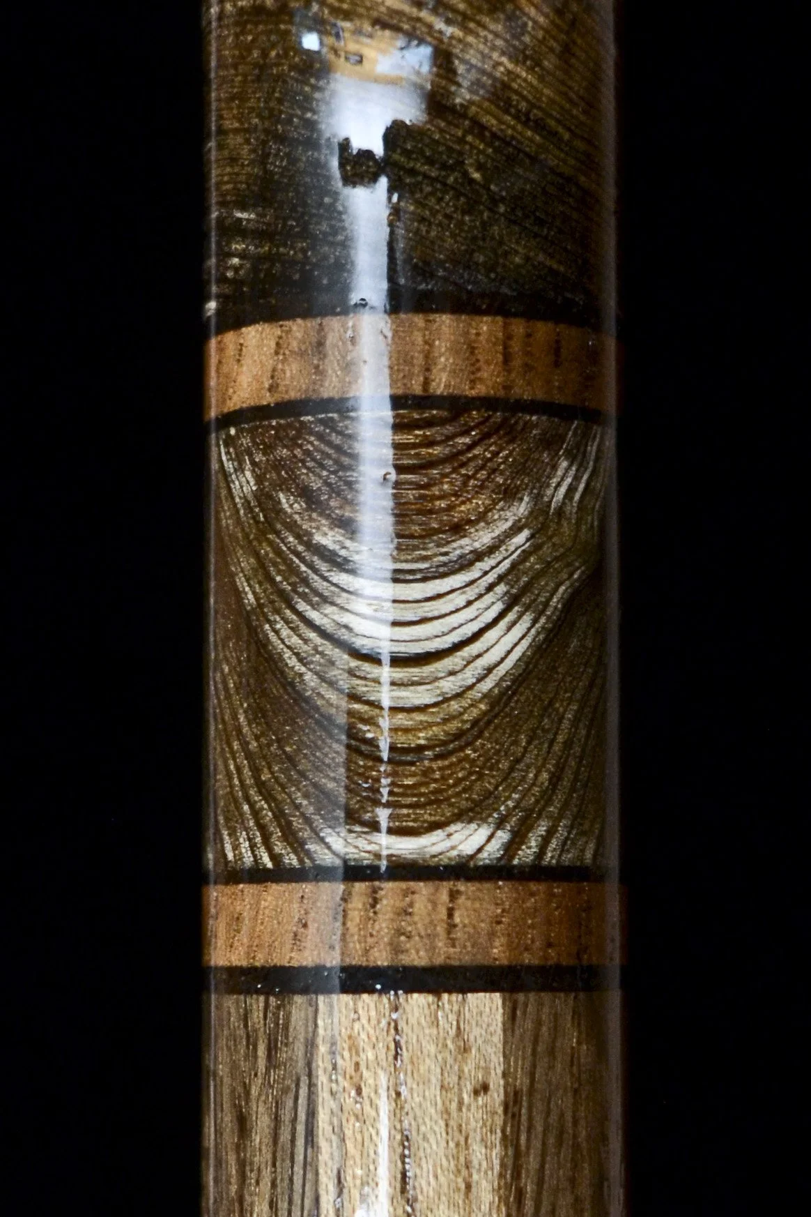 Sinker Cypress, Bog Oak, Jindai Nire, Dinosaur bone 15.jpg
