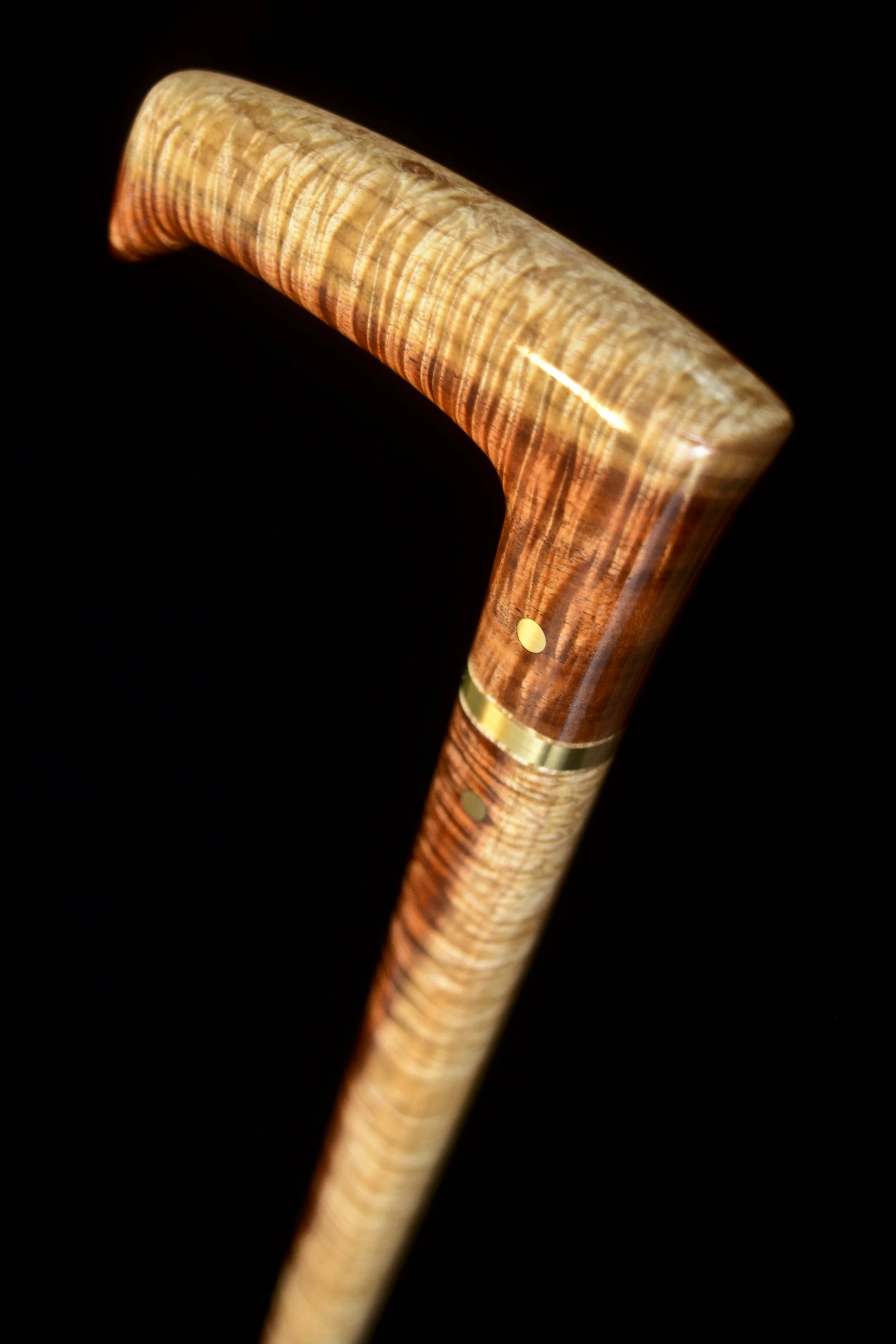 Tasmanian Blackwood 3.jpg