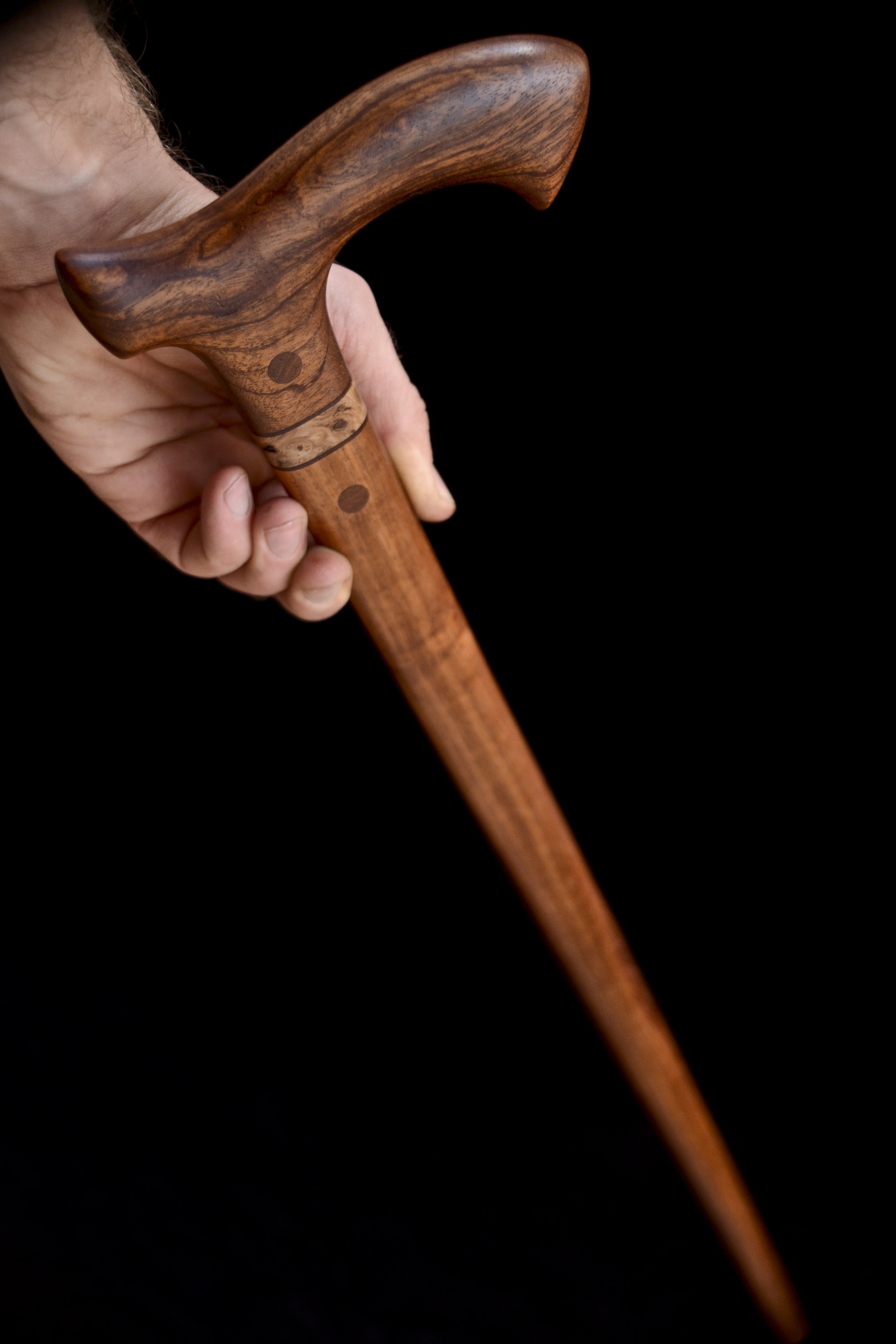 Brazilian Mahogany, Tzalam 10.jpg