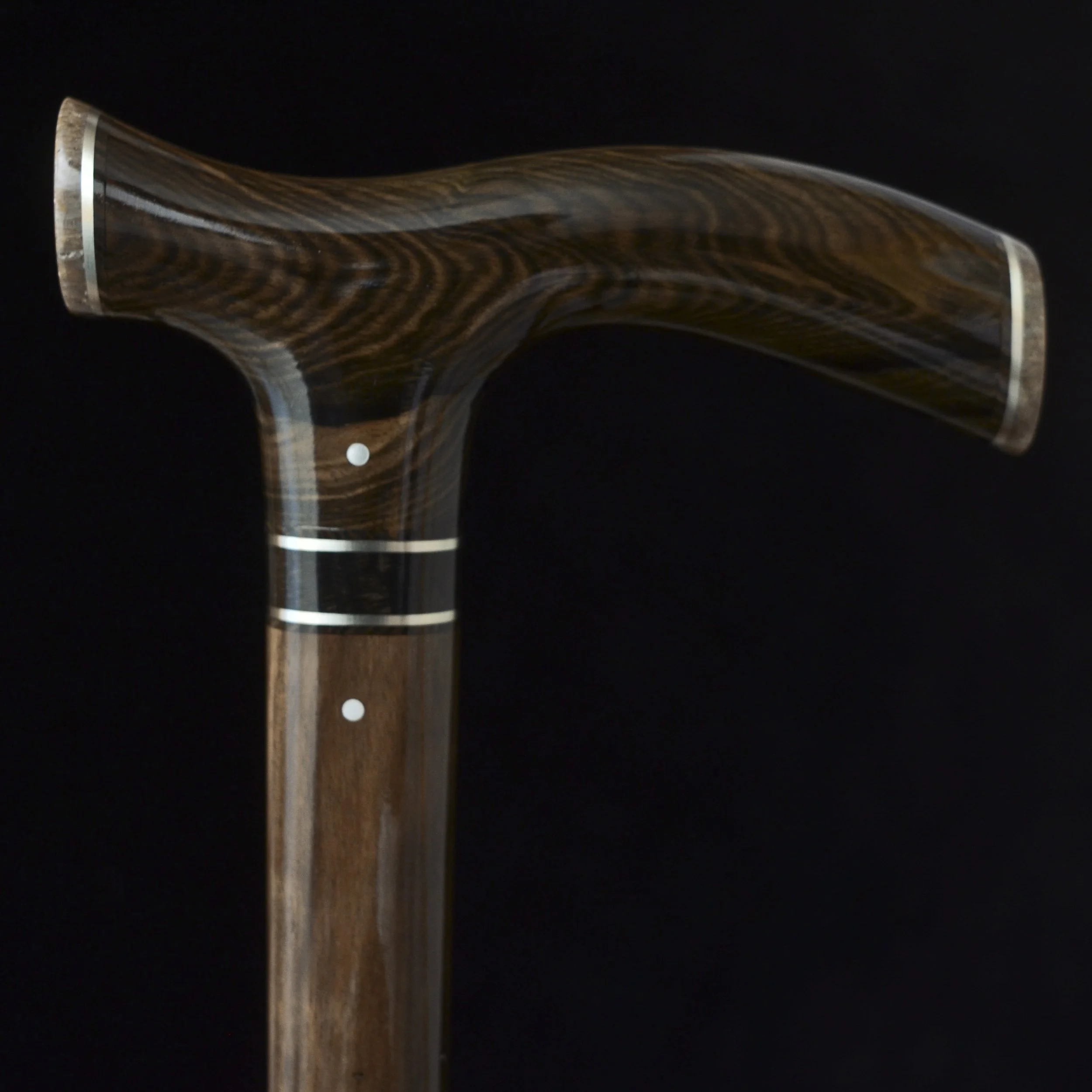 Mun Ebony, Kalimantan Ebony, Dinosaur Bone 13.jpg