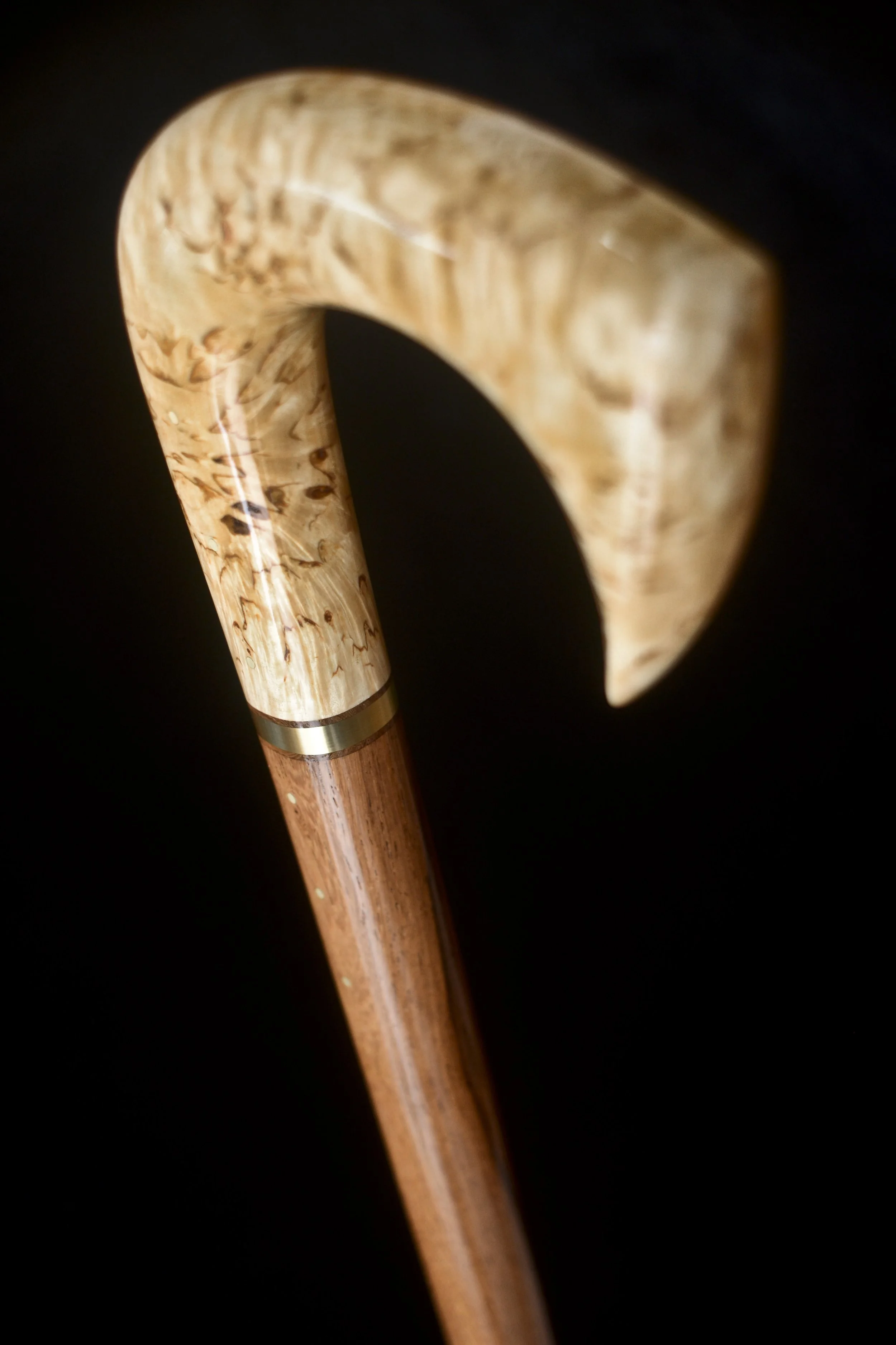 Birch, Mad. Rosewood 3.jpg