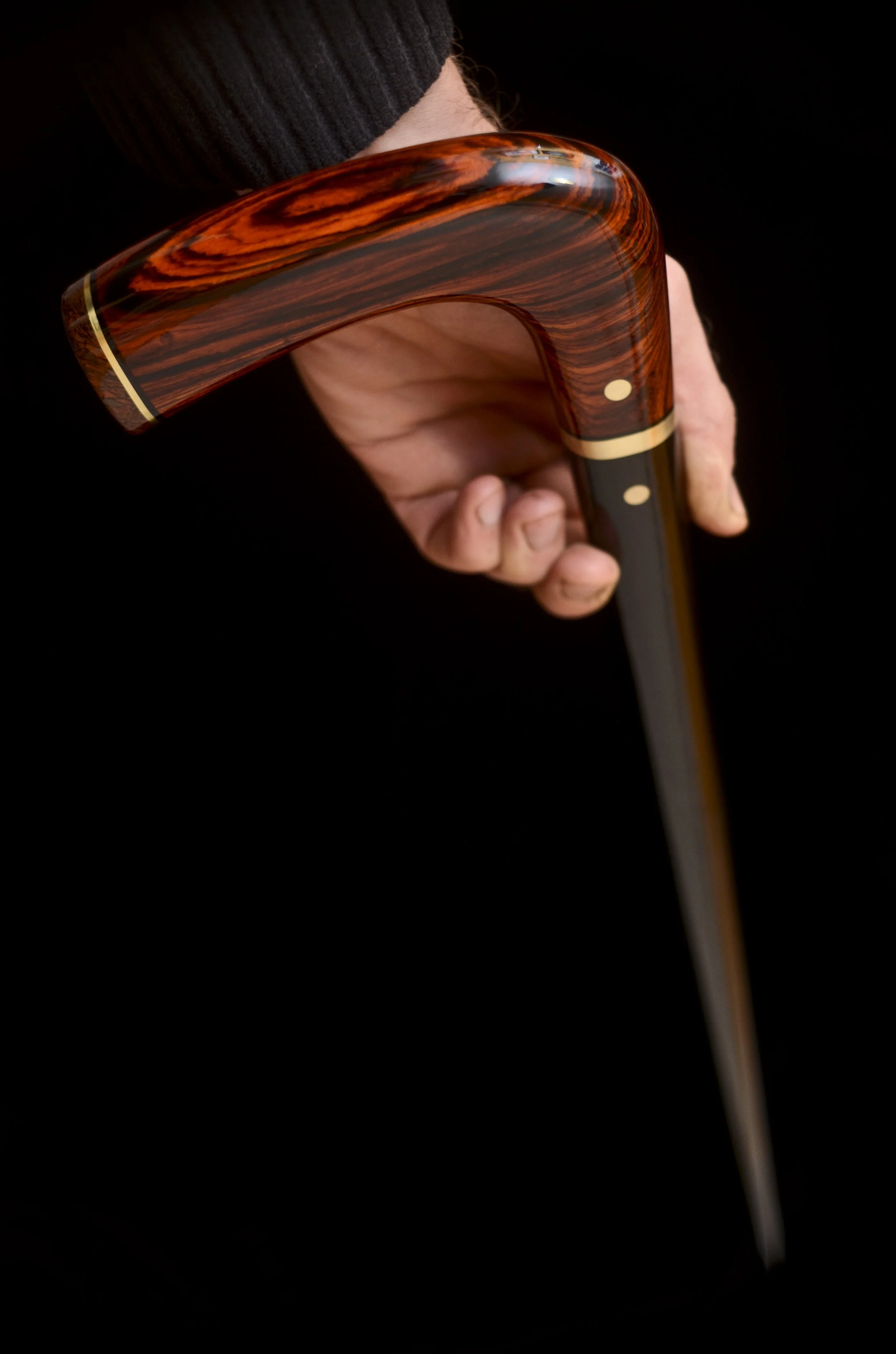 Cocobolo, Ebony, Dino Bone 11.jpg