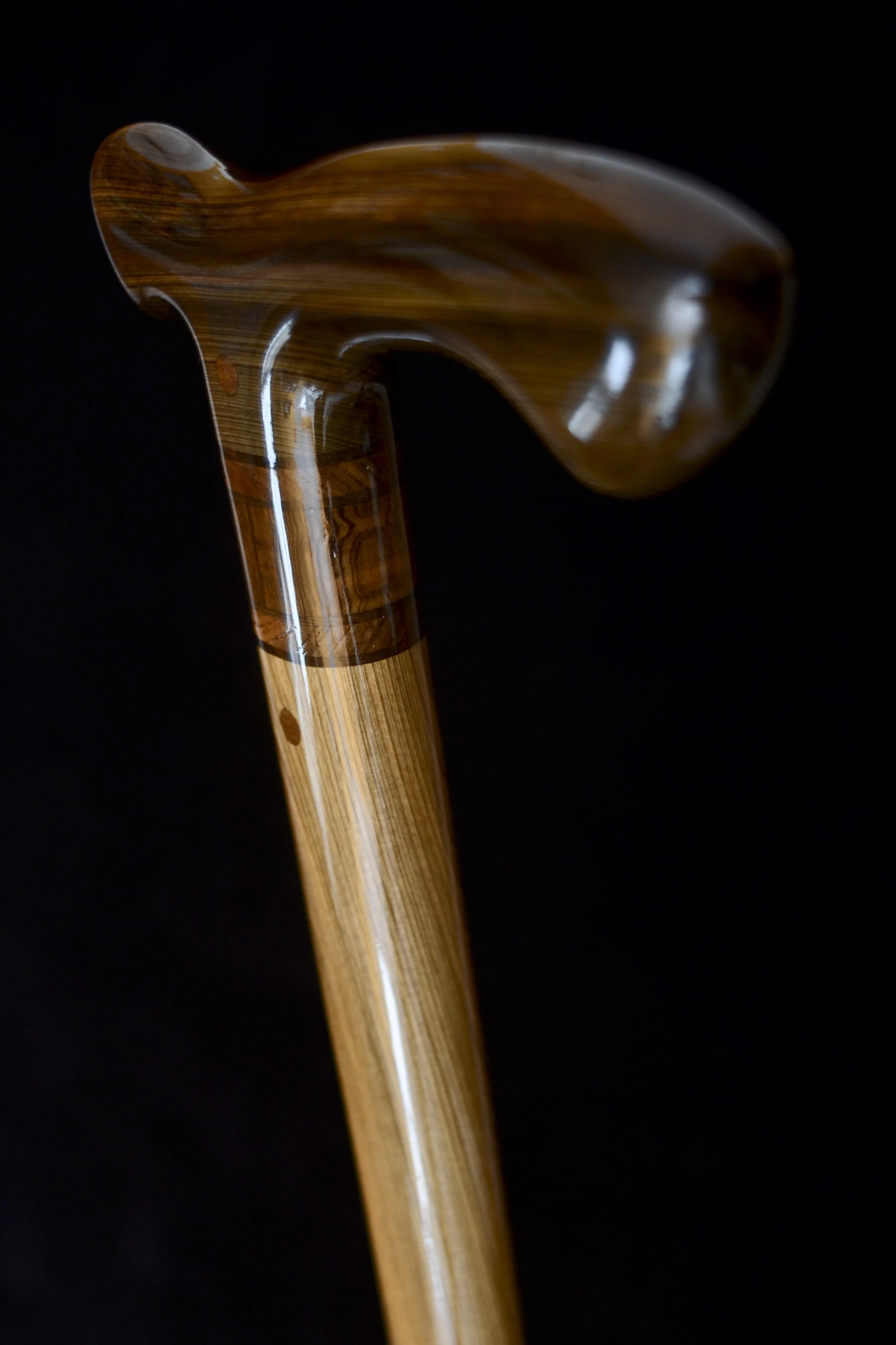 Sinker Cypress 4.jpg