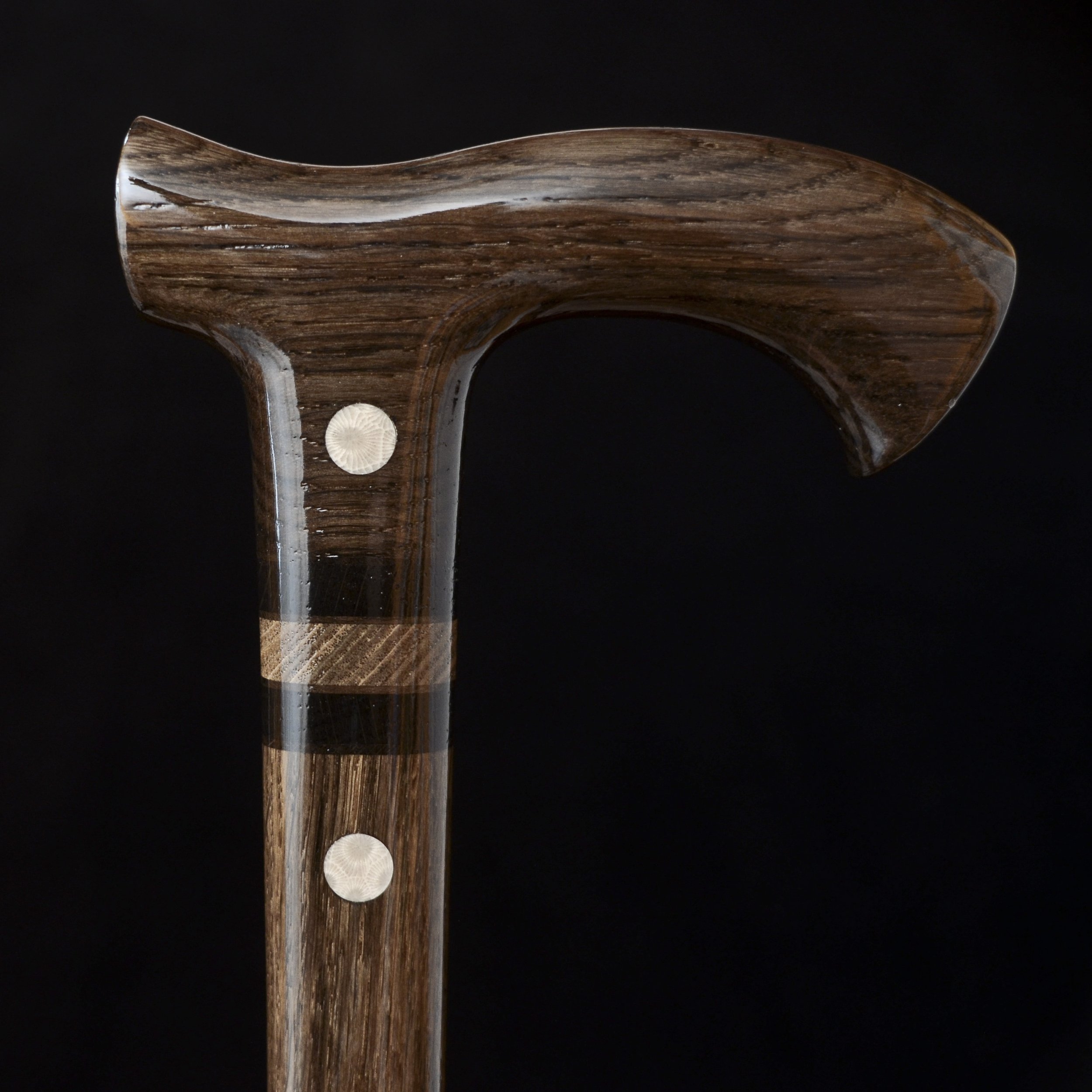 Bog Oak Fossil coral  11.jpg