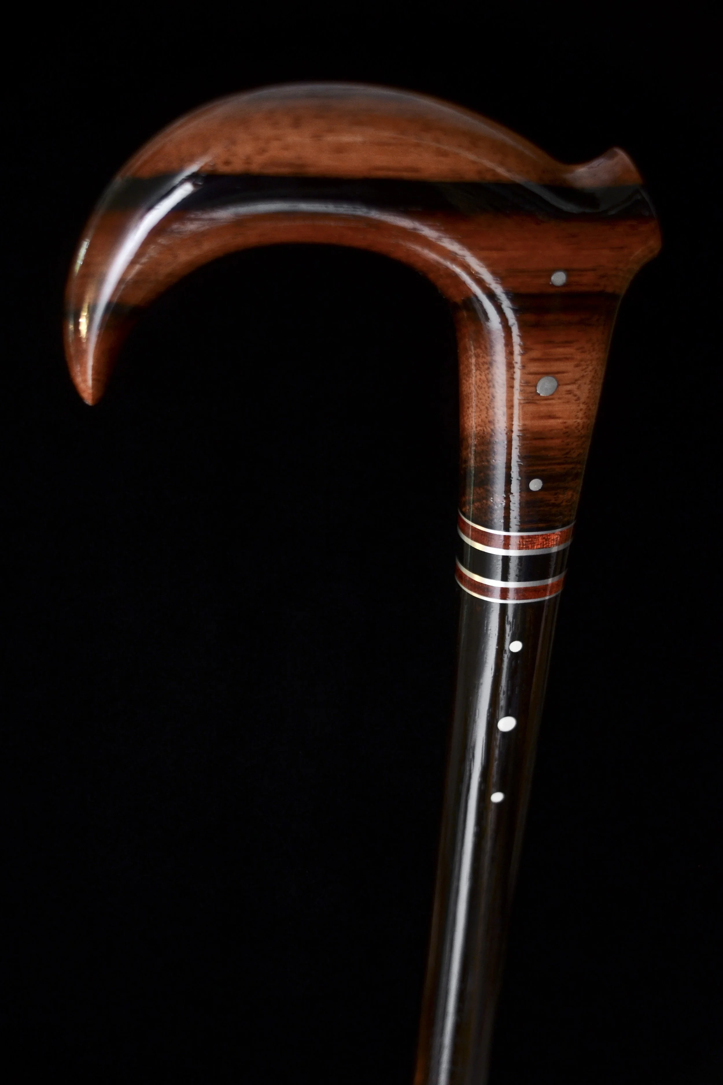 Ebony claw 6.jpg