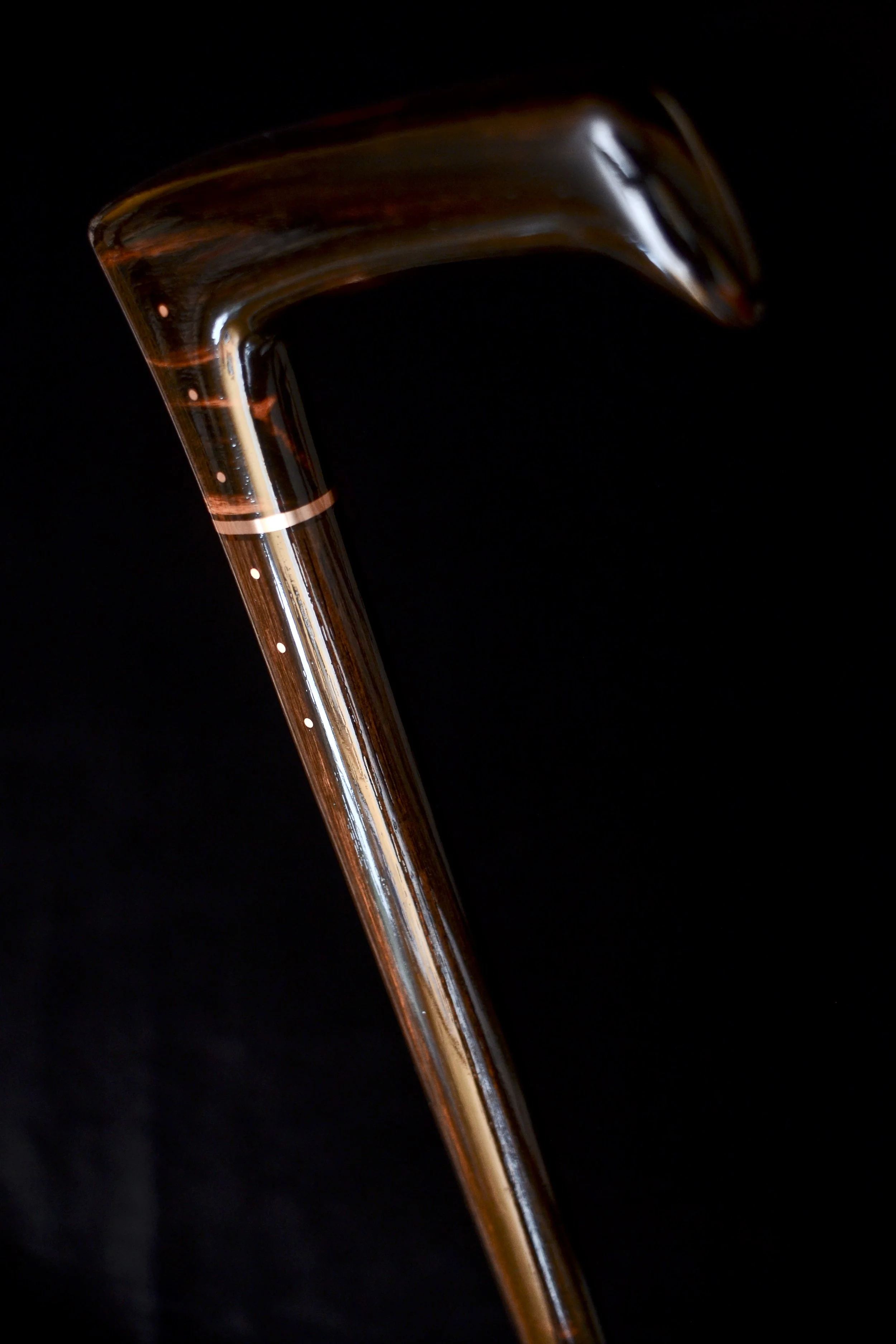 Ebony Modern 4.jpg