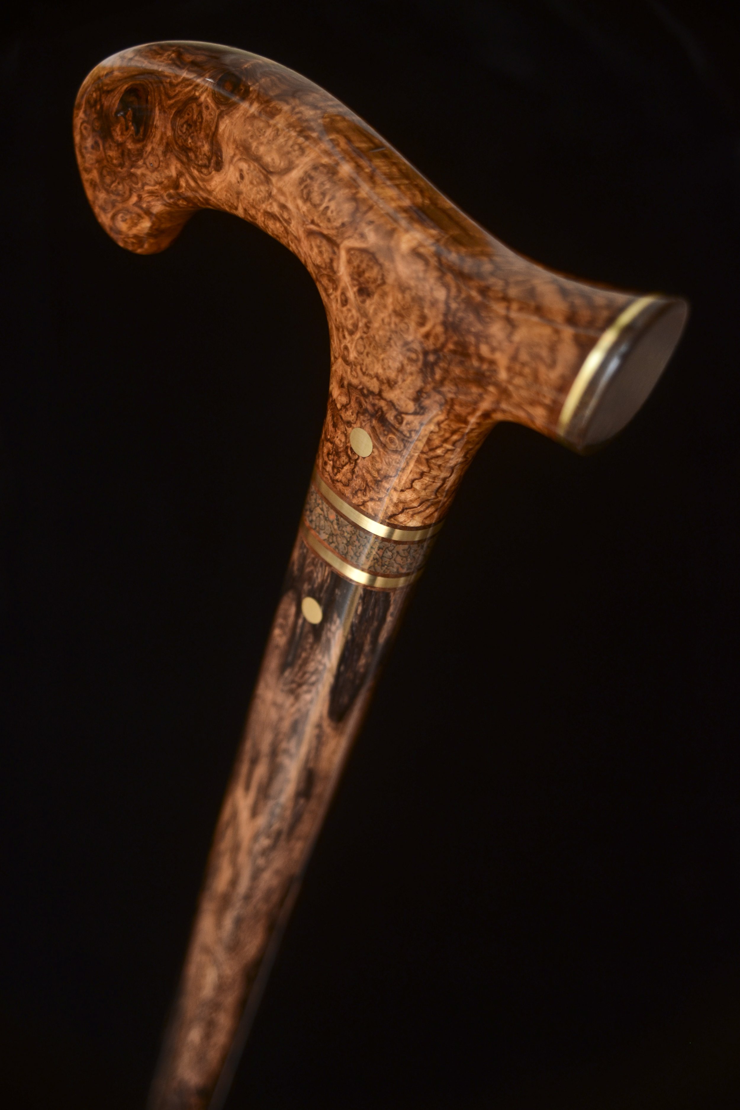 HRM, Lanceolaria, Meteorite NWA 15122 4.jpg