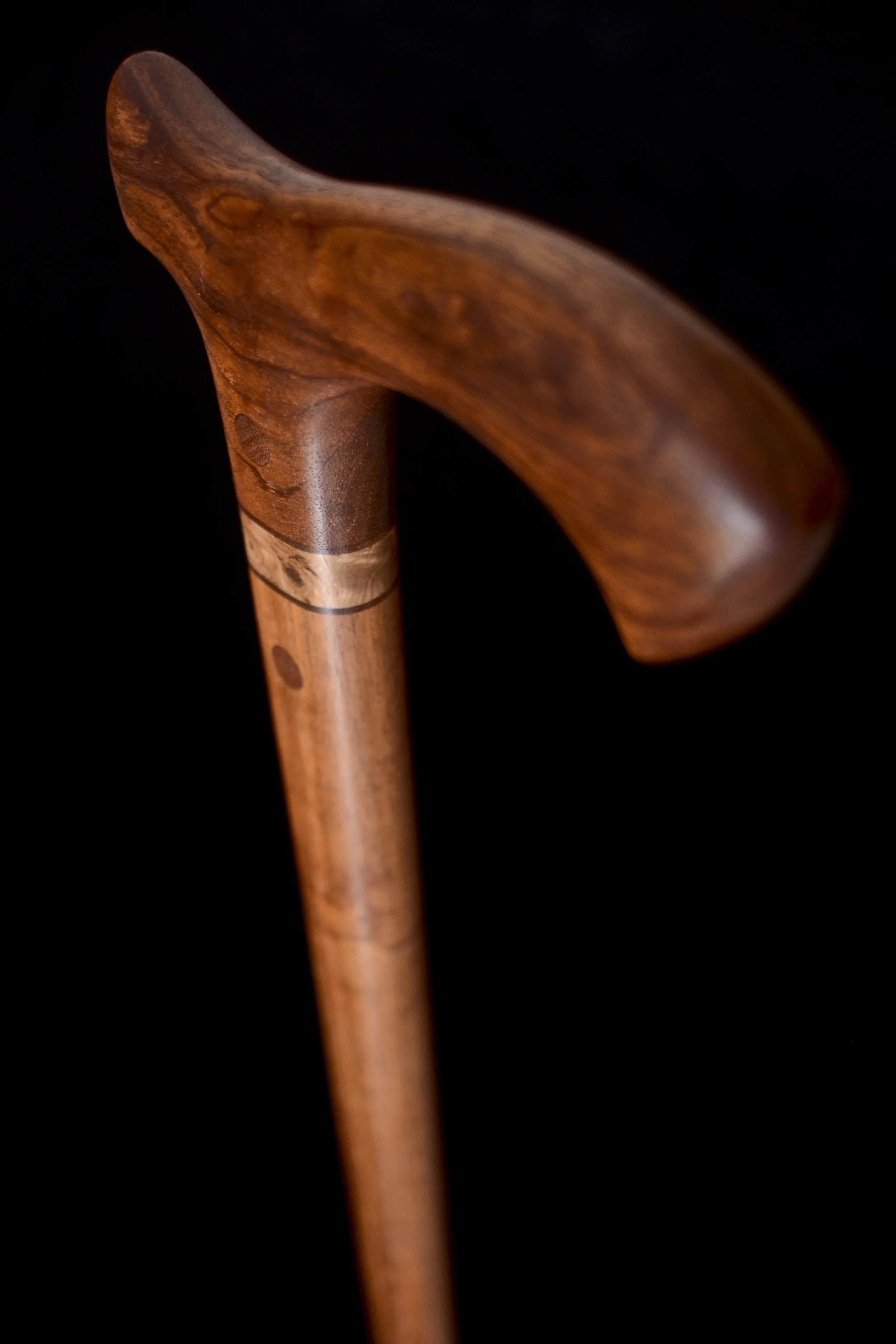 Brazilian Mahogany, Tzalam 4.jpg