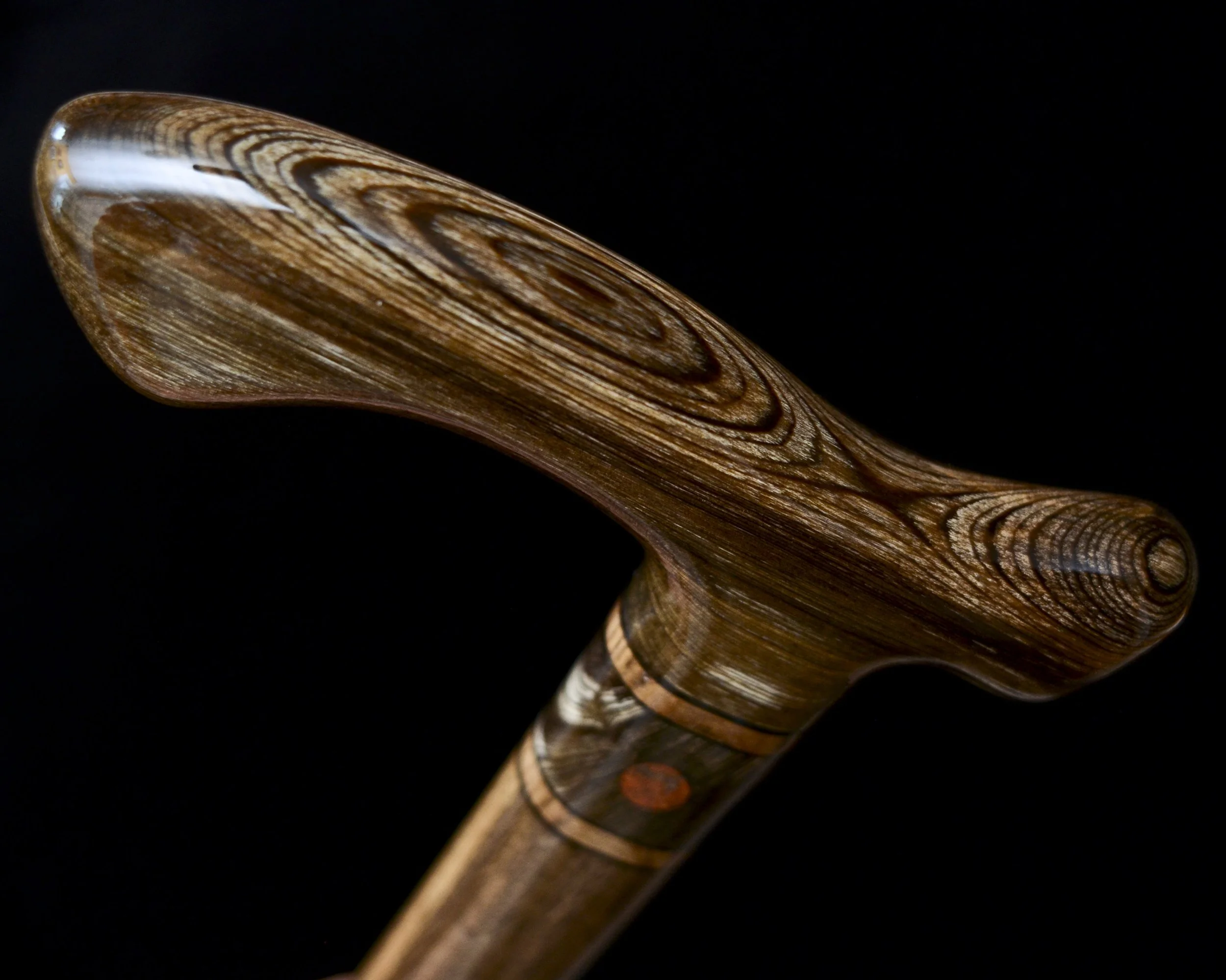 Sinker Cypress, Bog Oak, Jindai Nire, Dinosaur bone 8.jpg