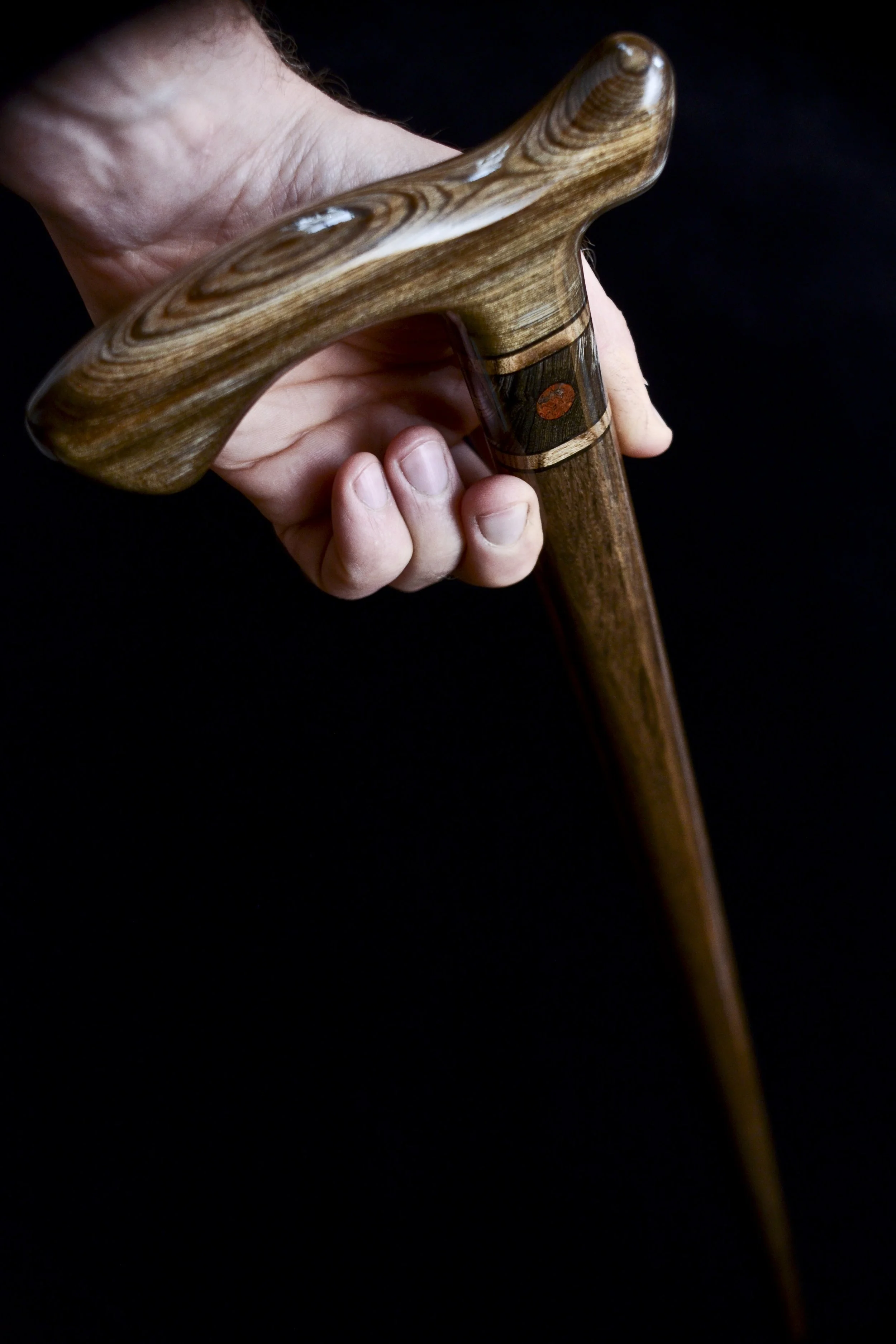 Sinker Cypress, Bog Oak, Jindai Nire, Dinosaur bone 16.jpg