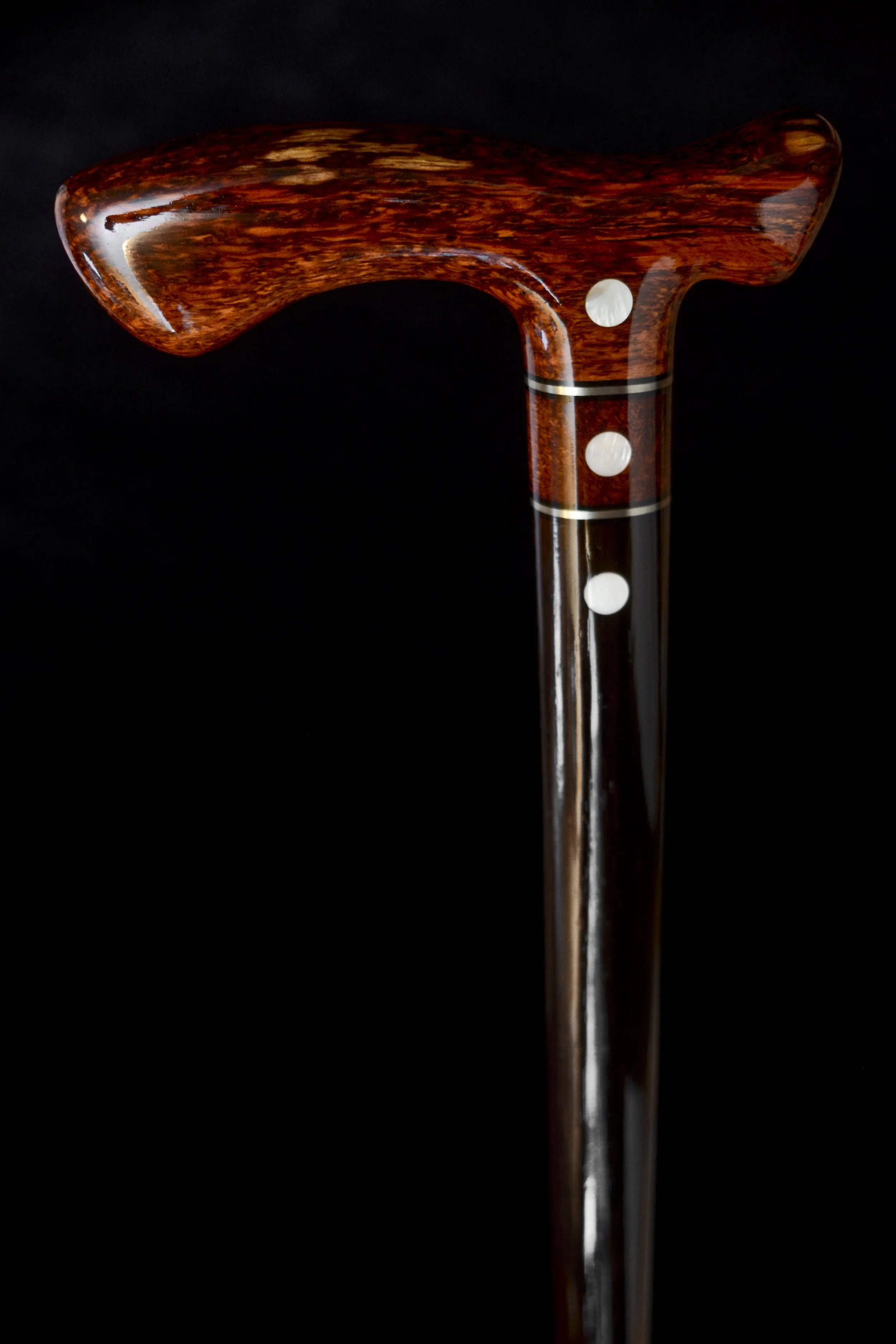 Flame Siam, Ebony 2.jpg