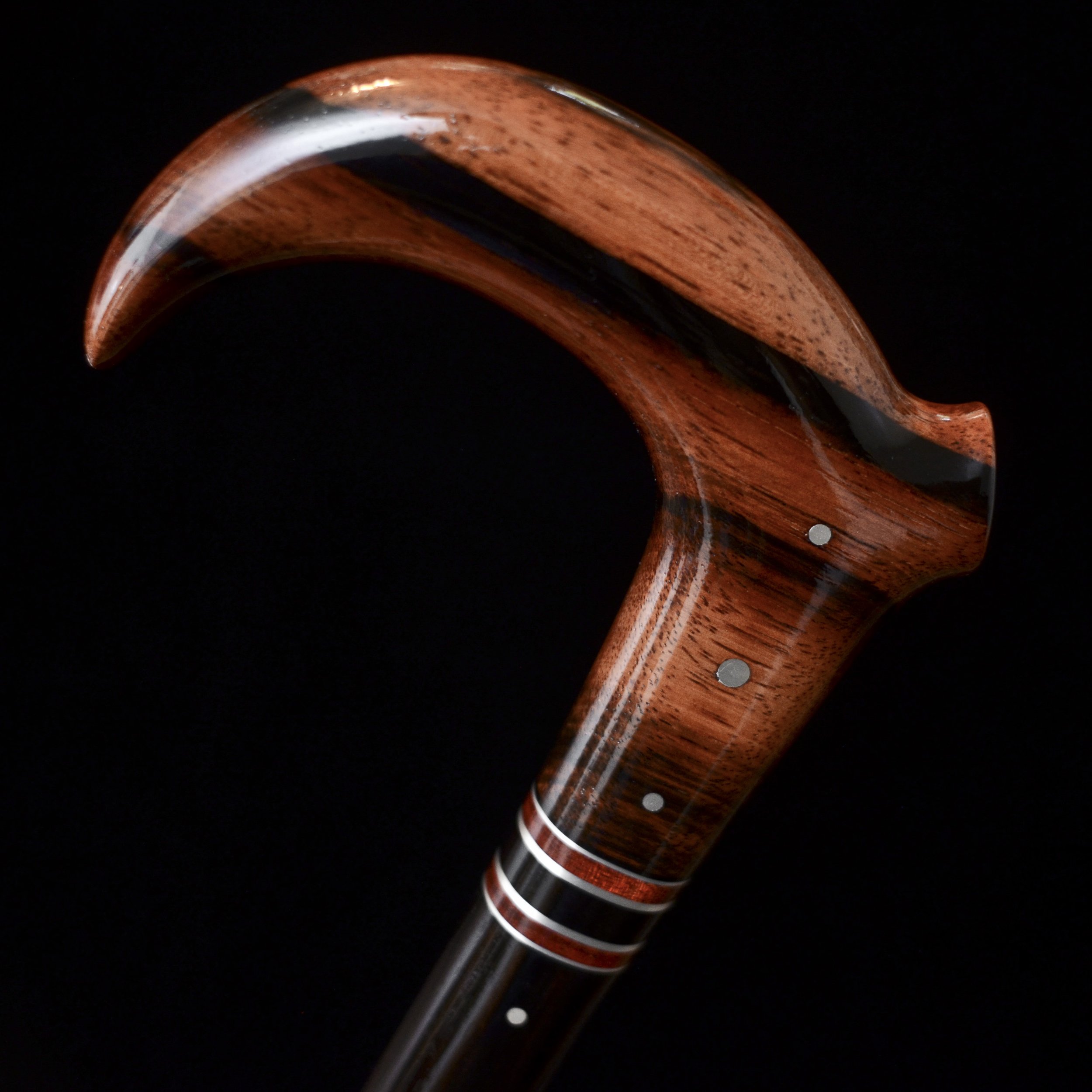 Ebony claw 8.jpg