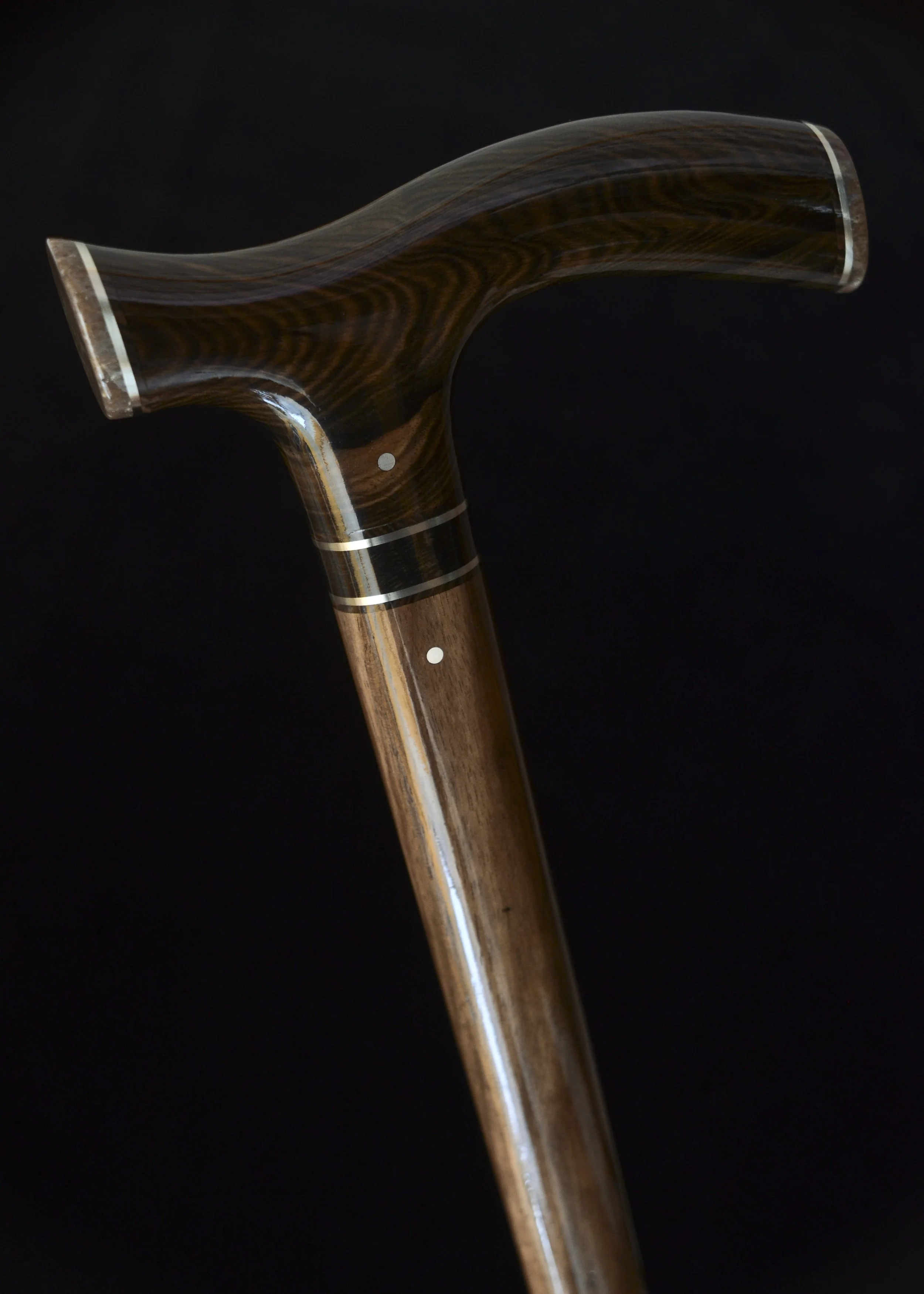 Mun Ebony, Kalimantan Ebony, Dinosaur Bone 5.jpg