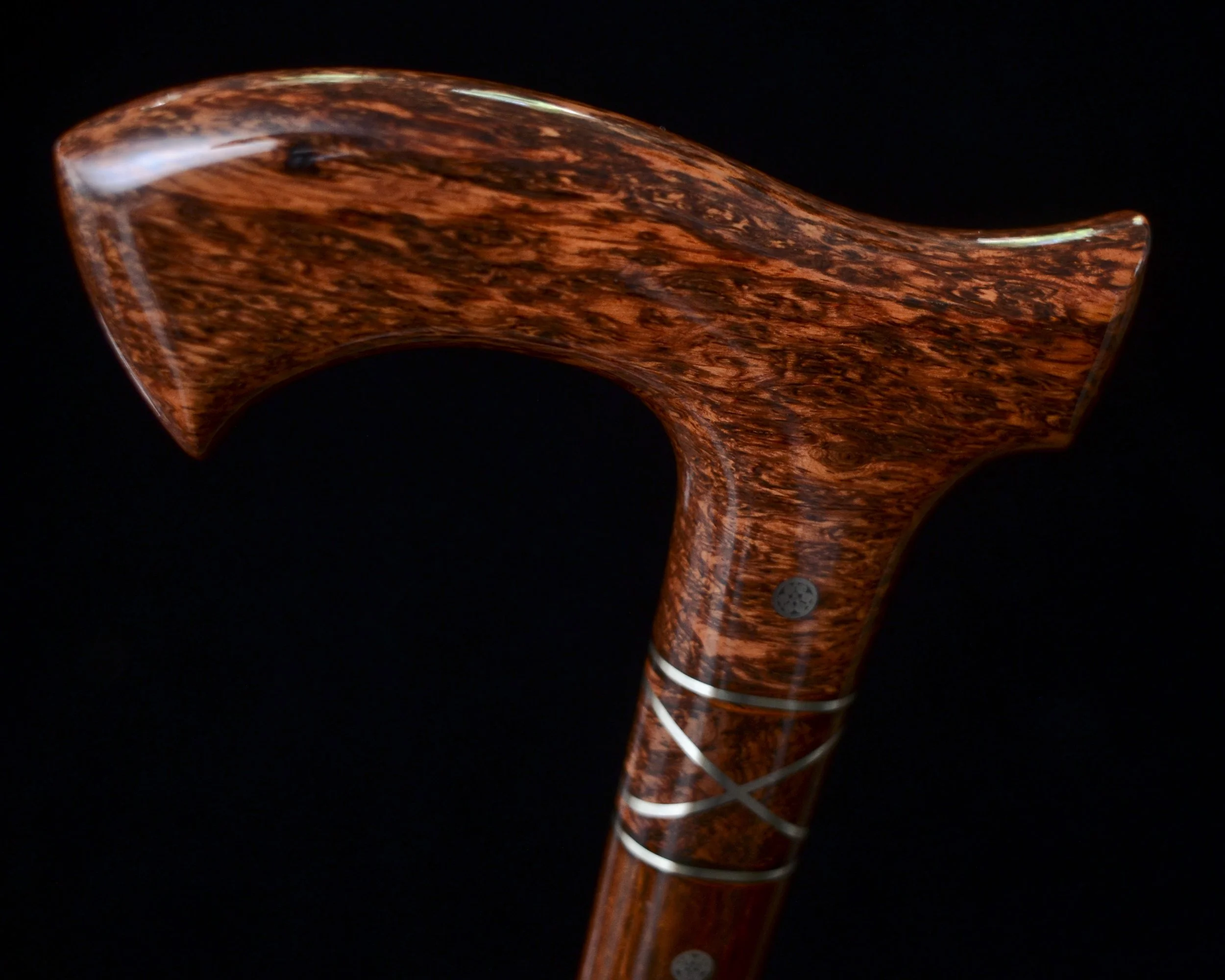 Siamese, Cocobolo 8.jpg