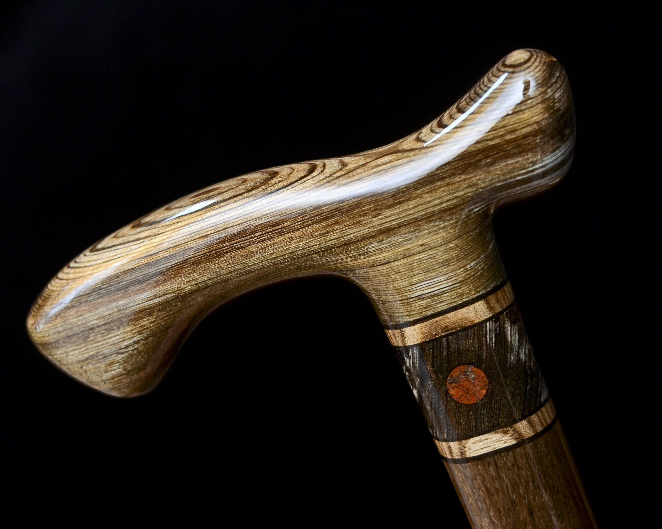 Sinker Cypress, Bog Oak, Jindai Nire, Dinosaur bone 9.jpg
