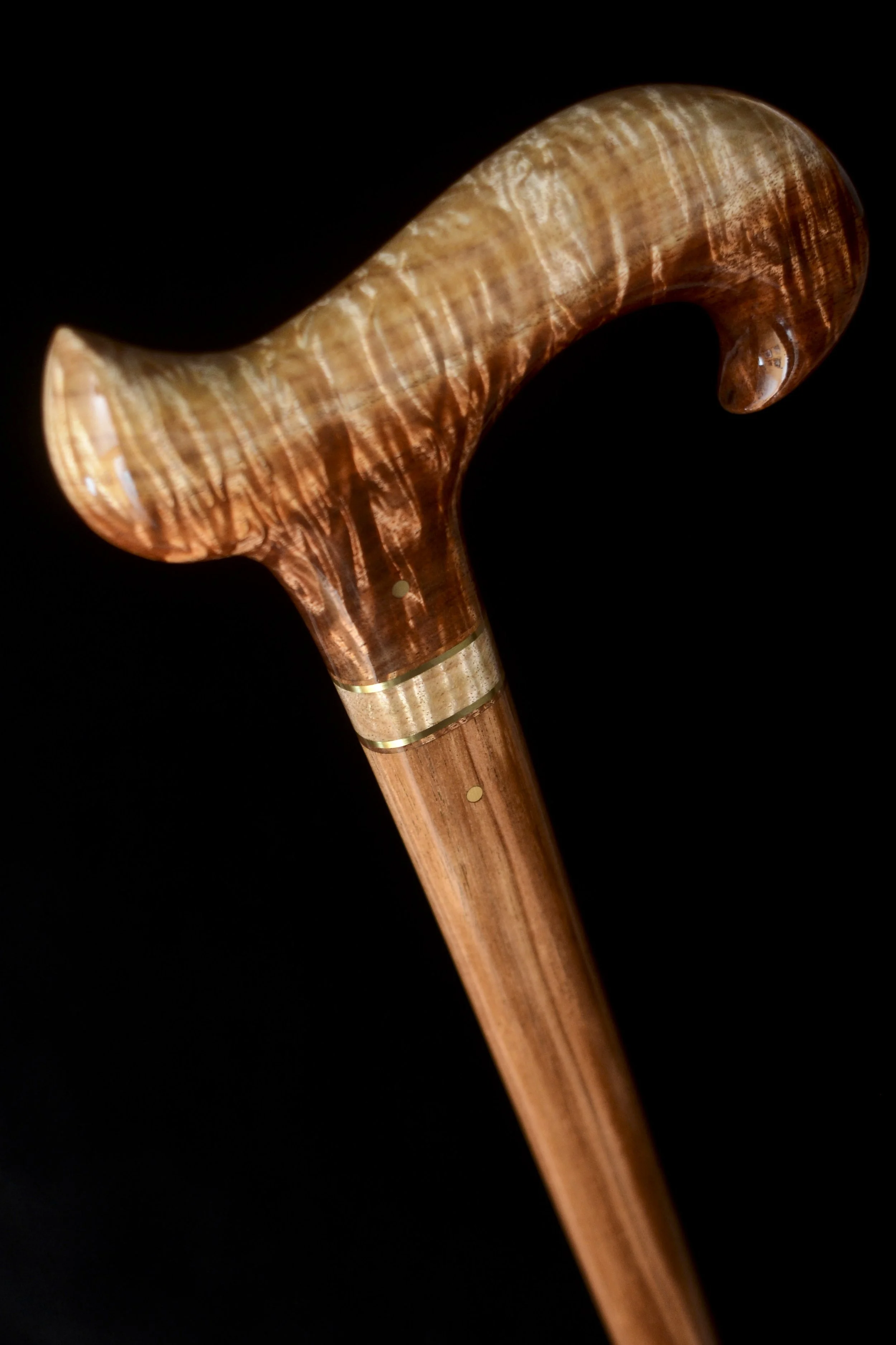 Tasmanian Blackwood 5.jpg