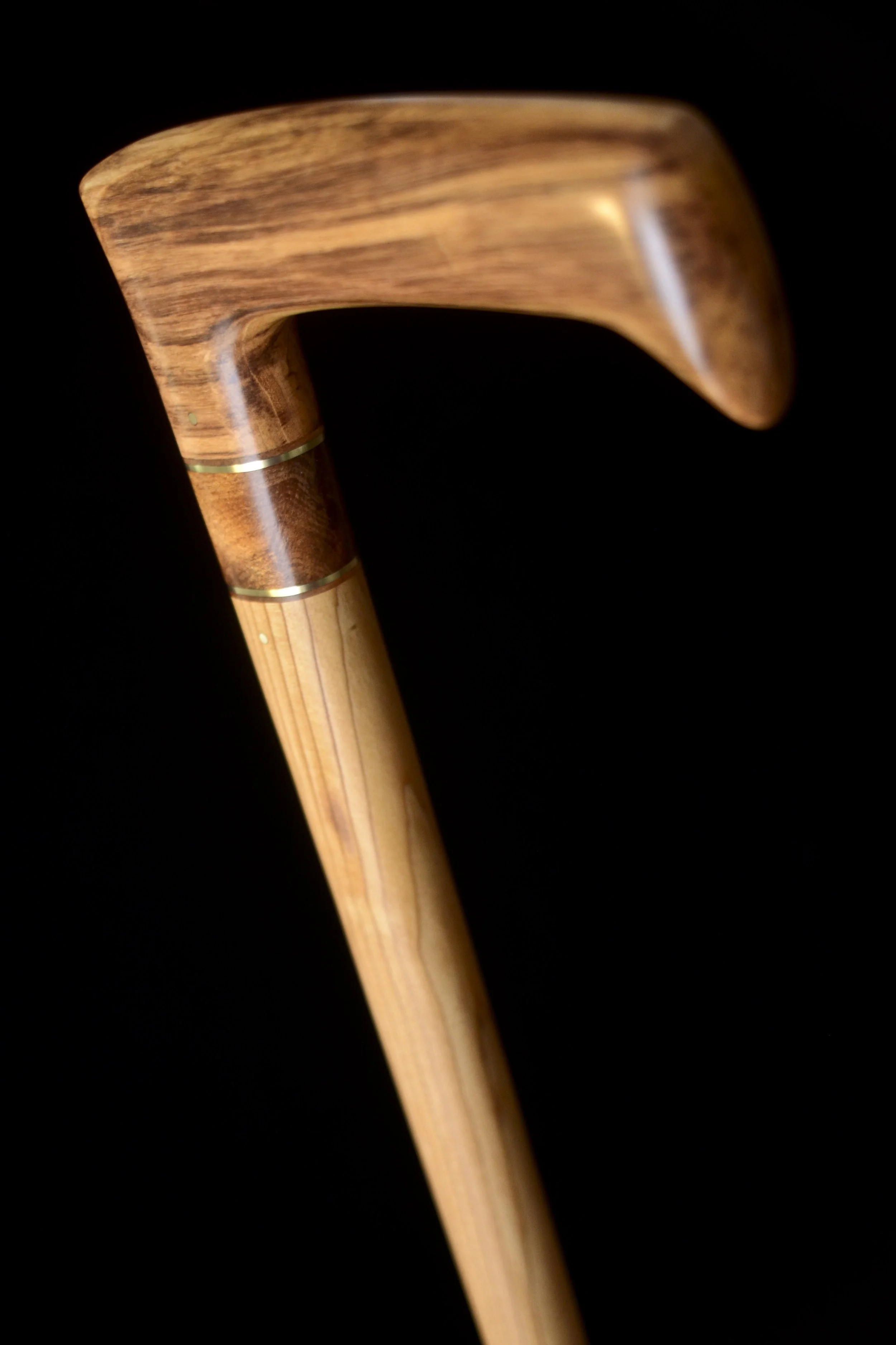 Olive, Cedar Lebanon  4.jpg