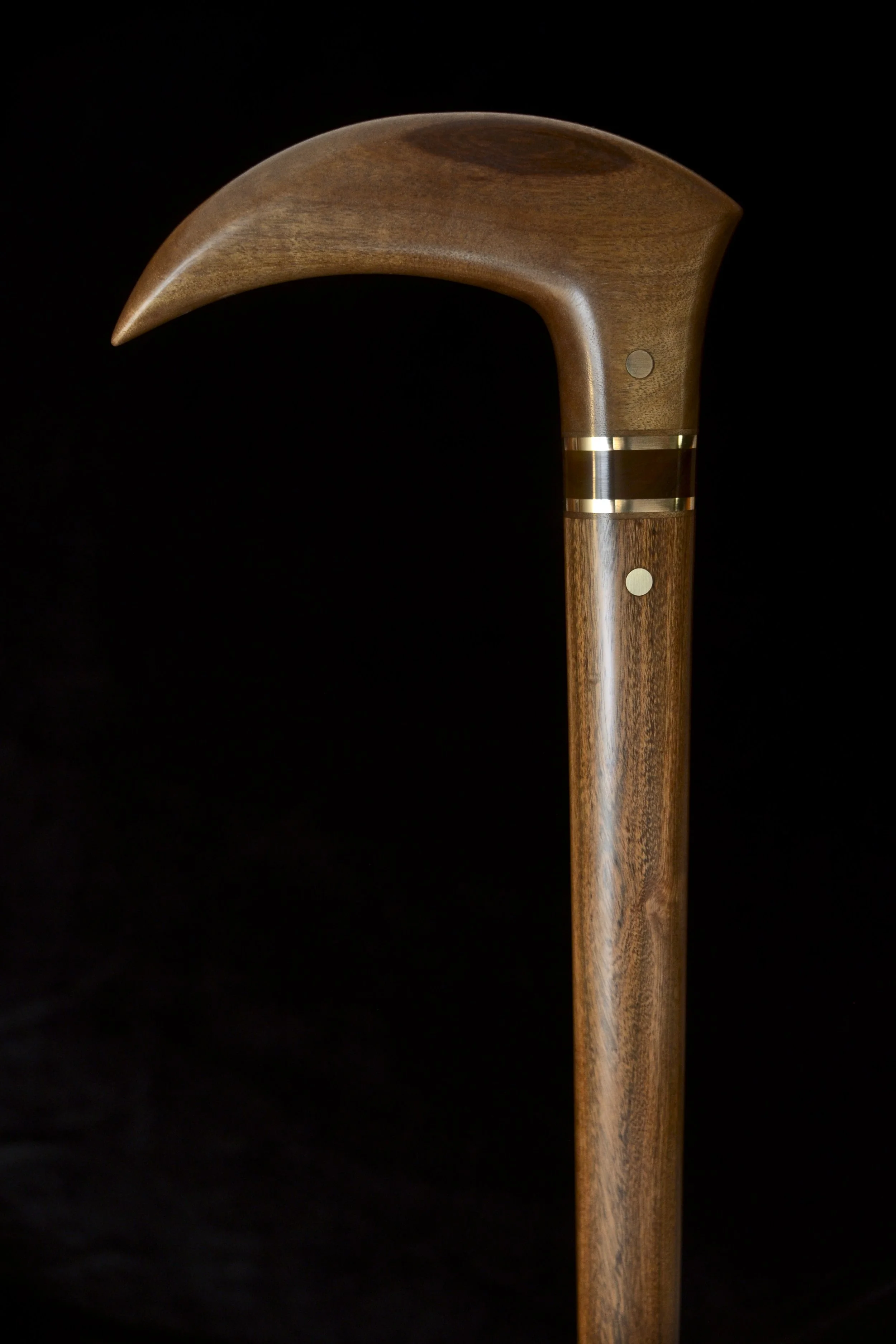 Bog Birch, Ipe 2.jpg