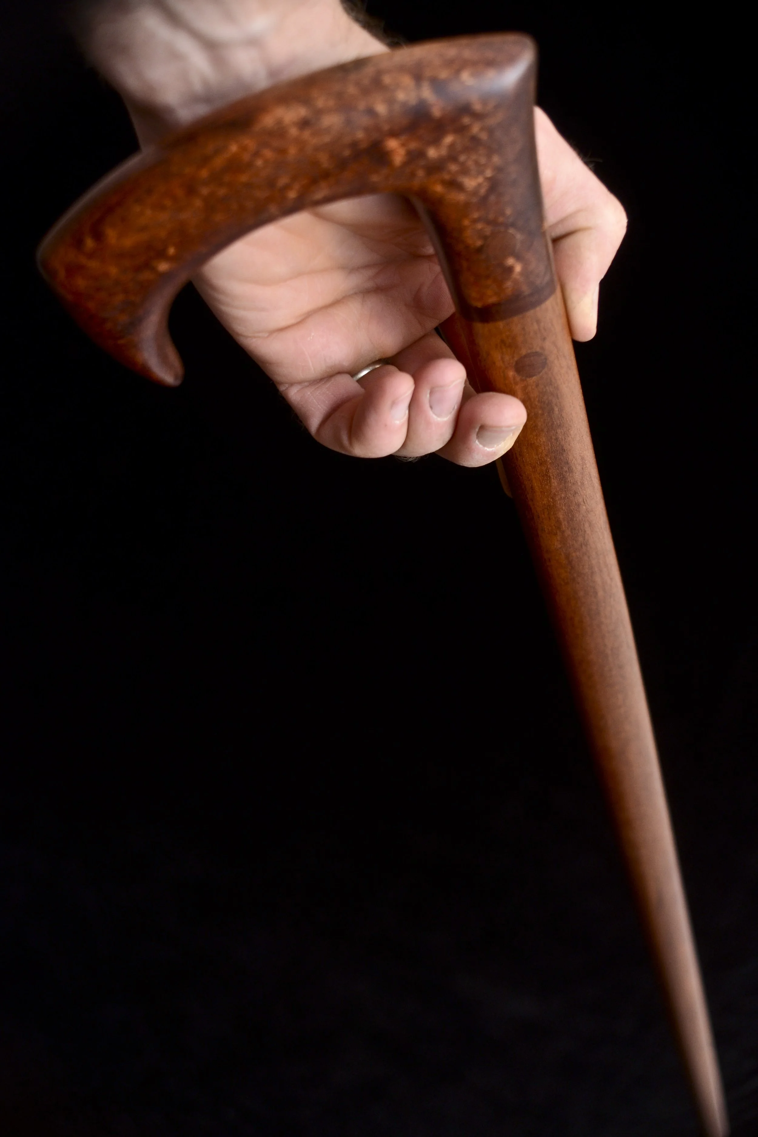 Sapele, Tasmanian Blackwood 11.jpg