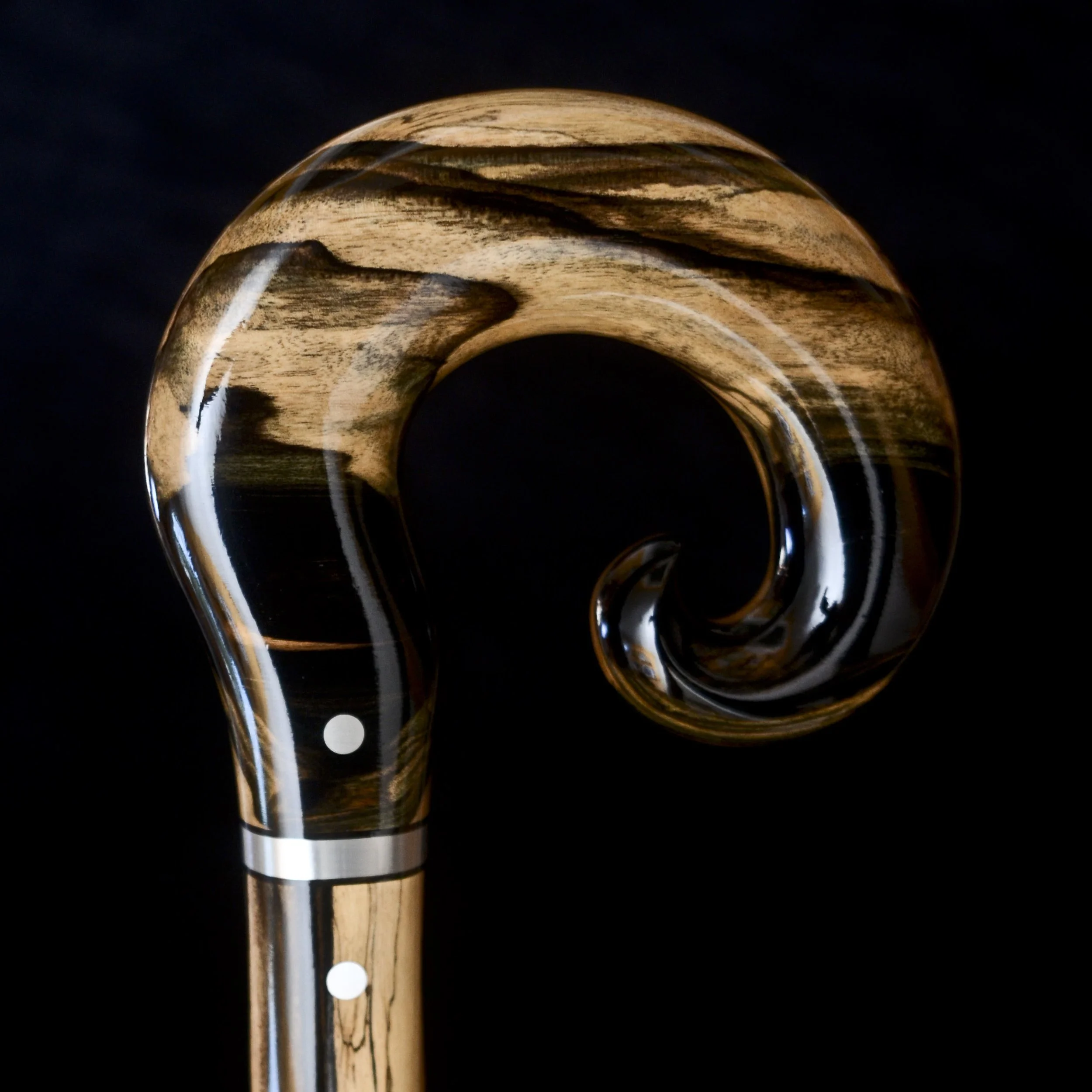 Black and White Ebony 12.jpg