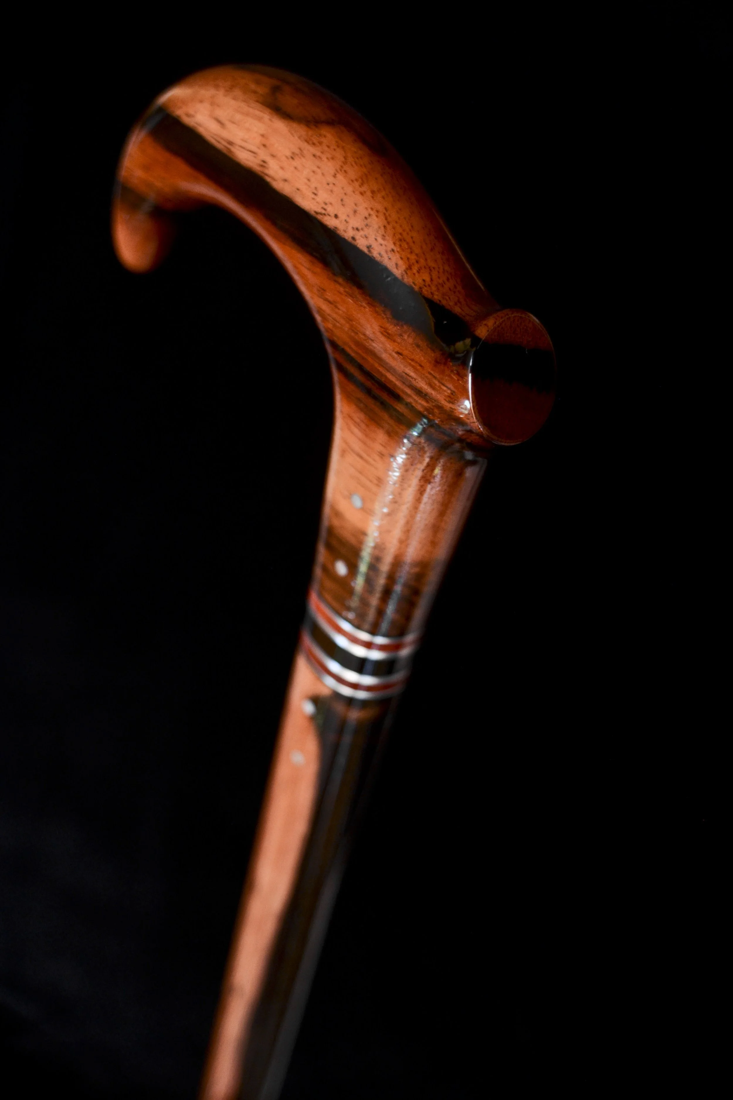 Macassar Claw 3.jpg
