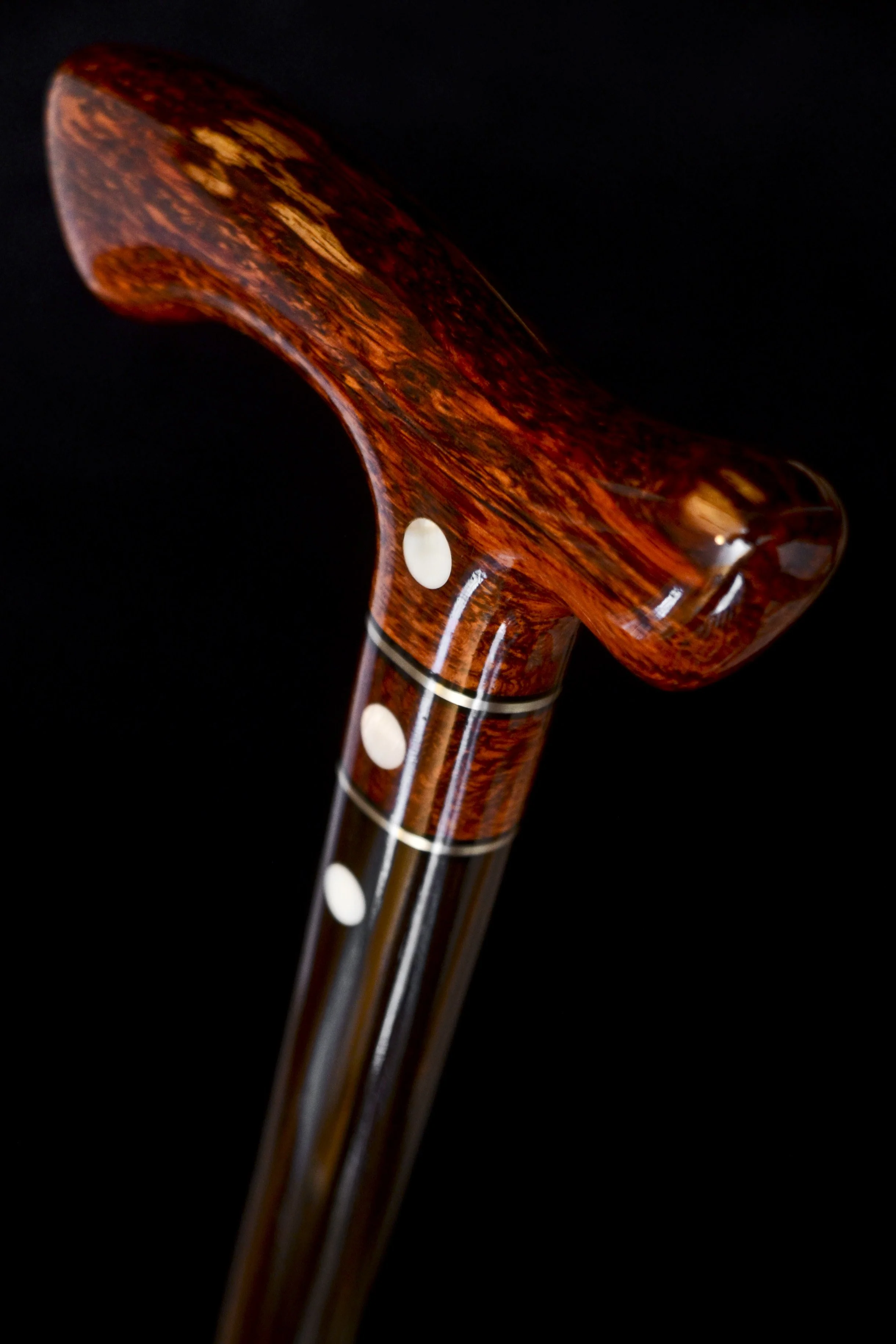 Flame Siam, Ebony 3.jpg