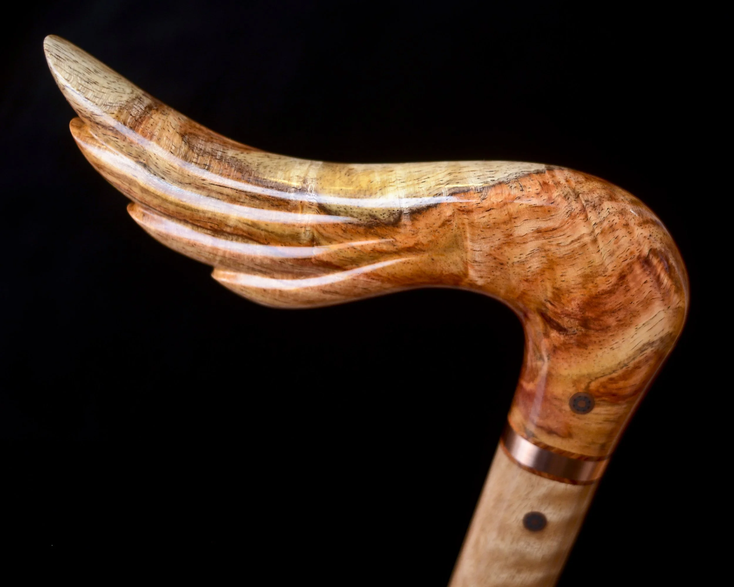 Hainan Rosewood, Eucalyptus 8.jpg