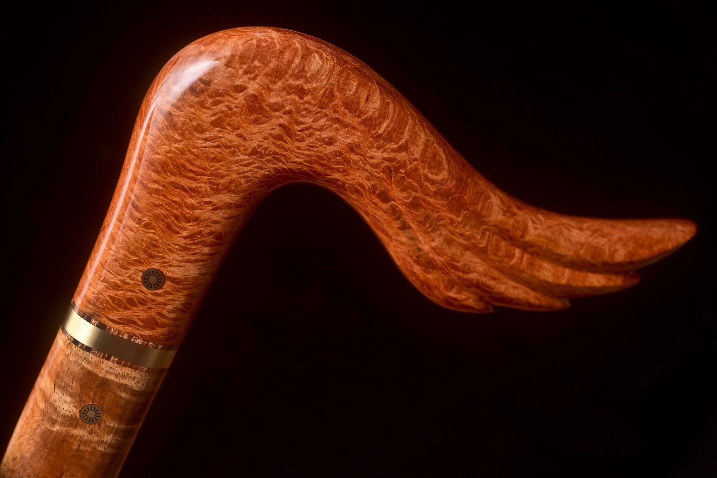 Sheoak, Tasmanian Blackwood 5.jpg
