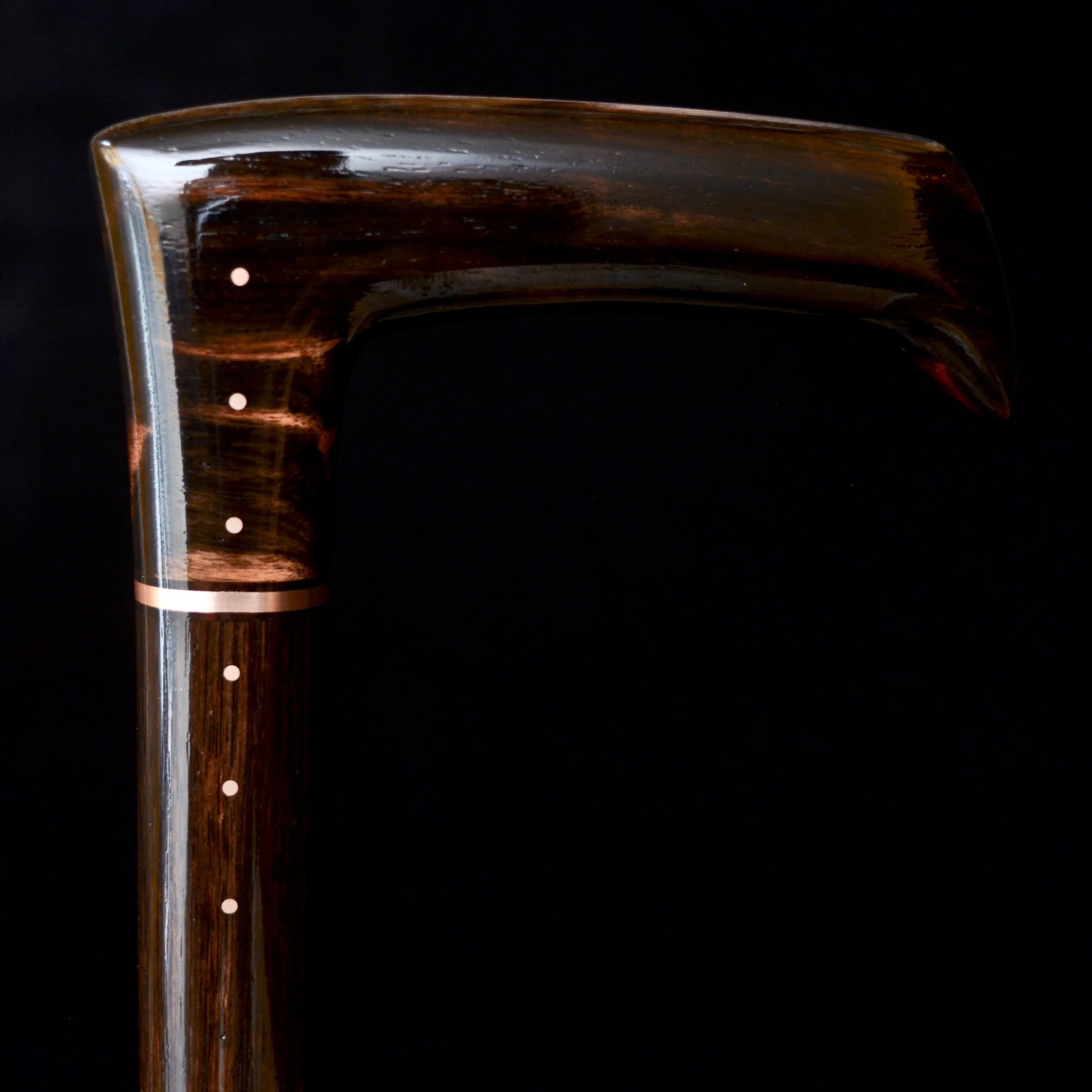 Ebony Modern 12.jpg
