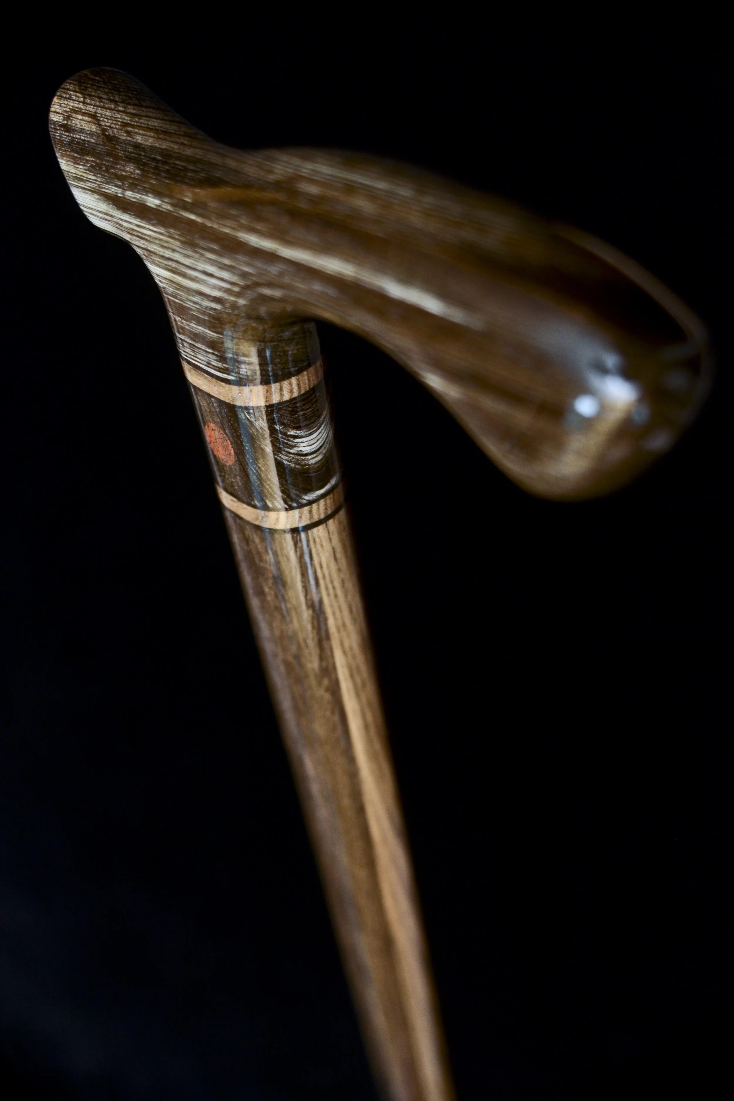 Sinker Cypress, Bog Oak, Jindai Nire, Dinosaur bone 4.jpg