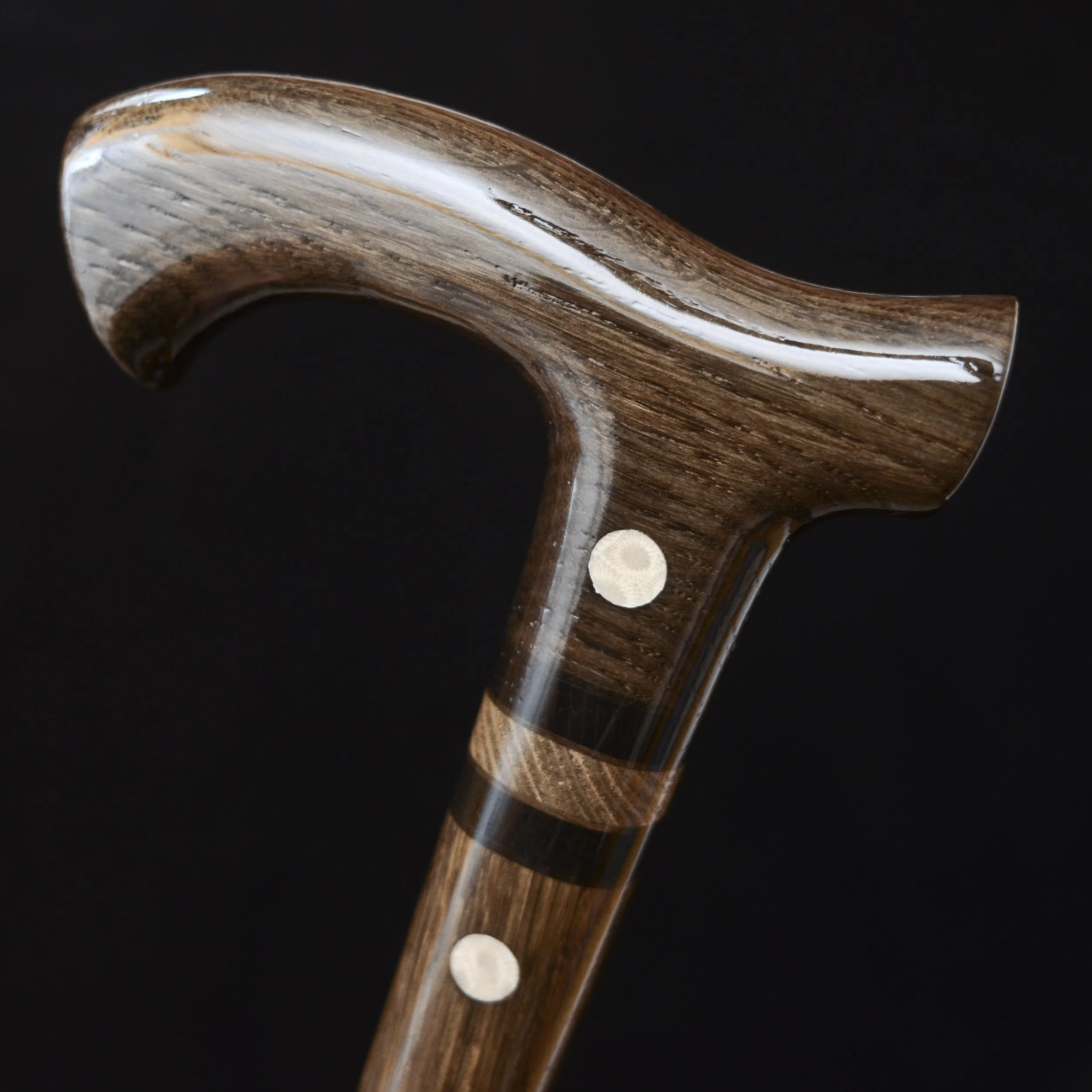 Bog Oak Fossil coral  6.jpg