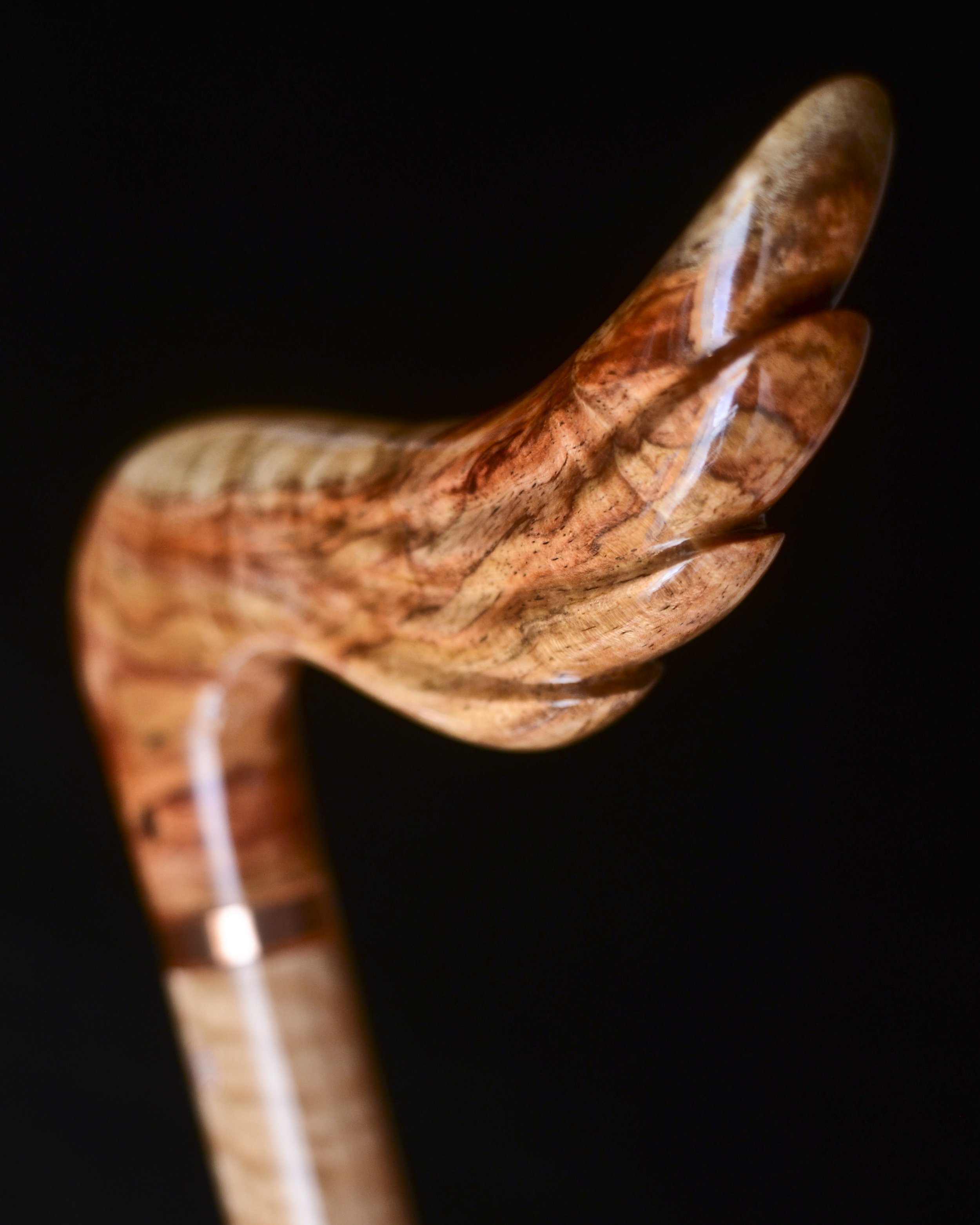 Hainan Rosewood, Eucalyptus 10.jpg