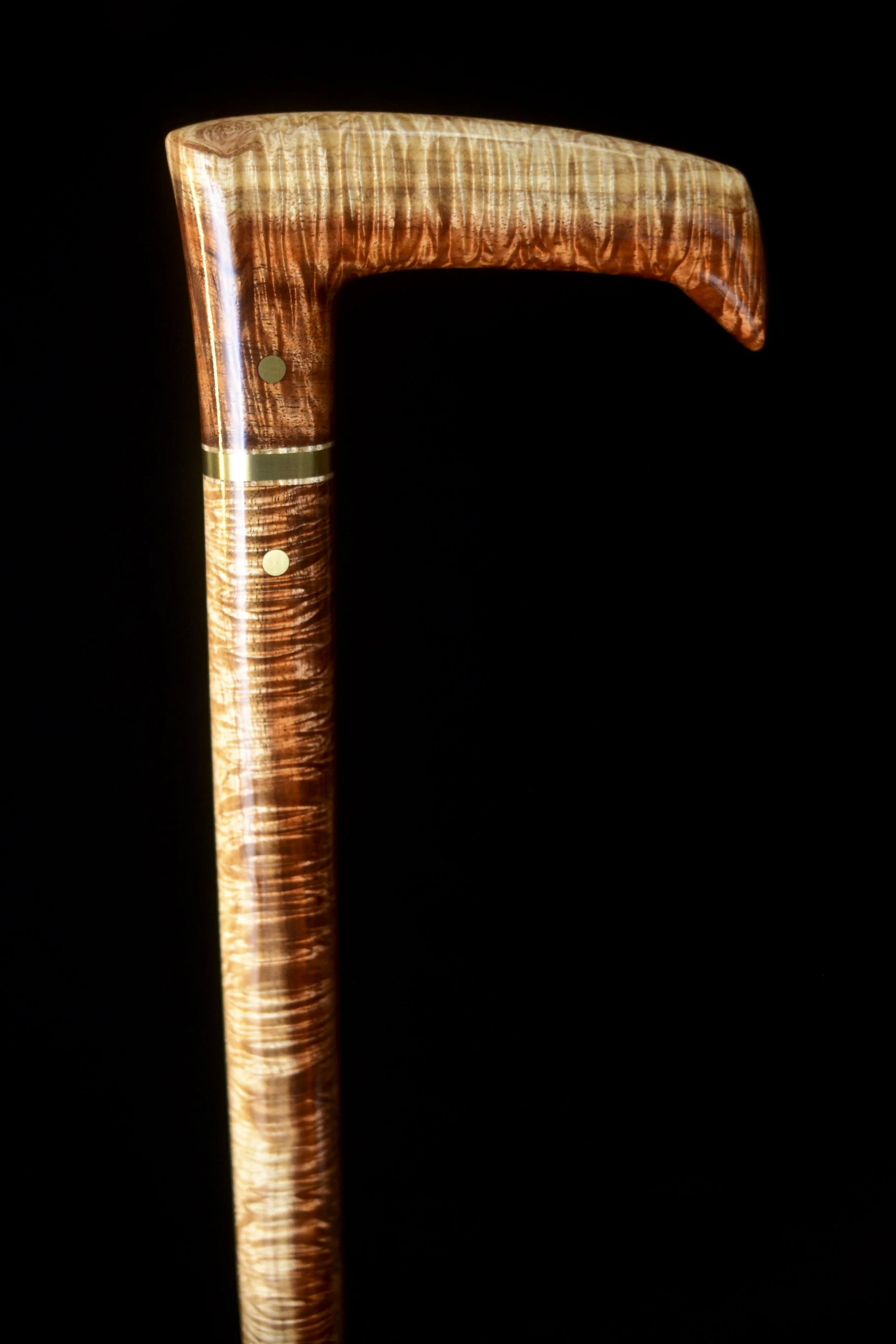 Tasmanian Blackwood 1.jpg