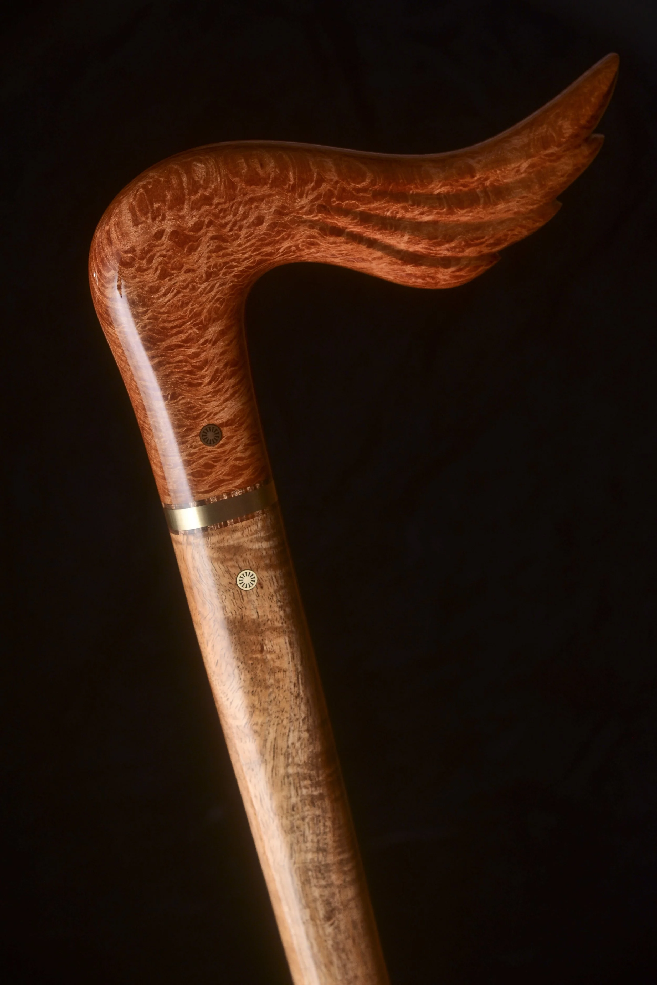 Sheoak, Tasmanian Blackwood 1.jpg
