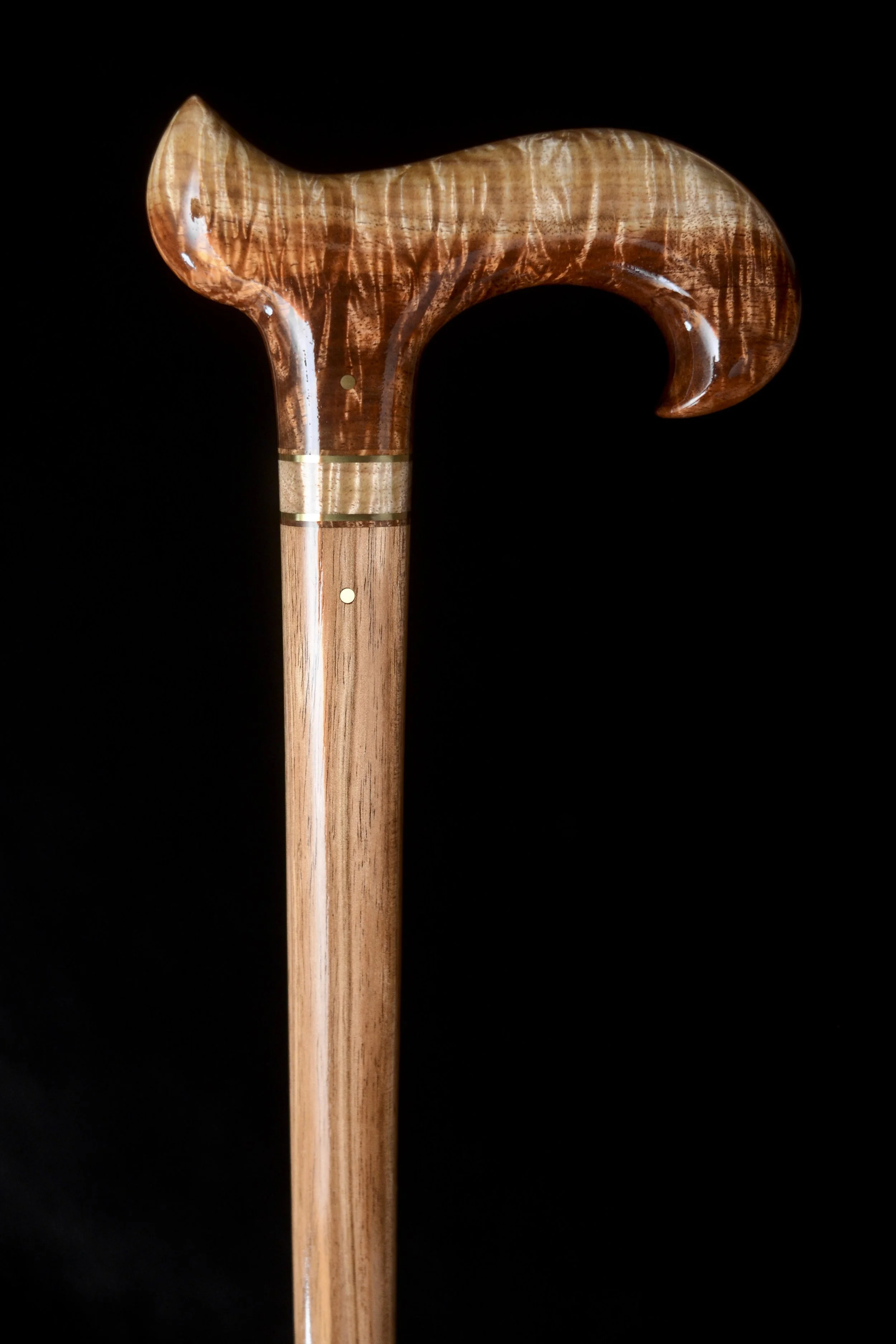 Tasmanian Blackwood 1.jpg