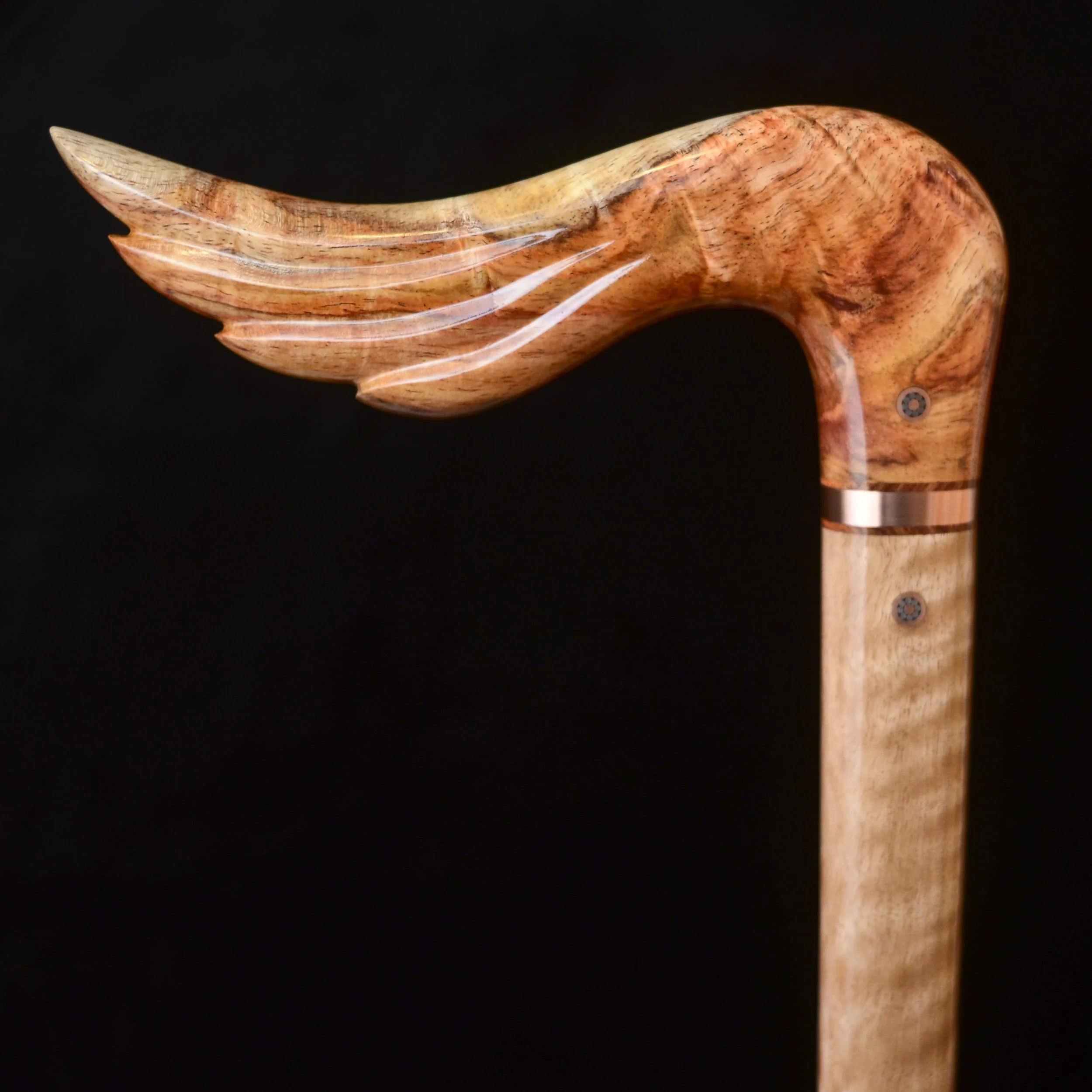 Hainan Rosewood, Eucalyptus 16.jpg
