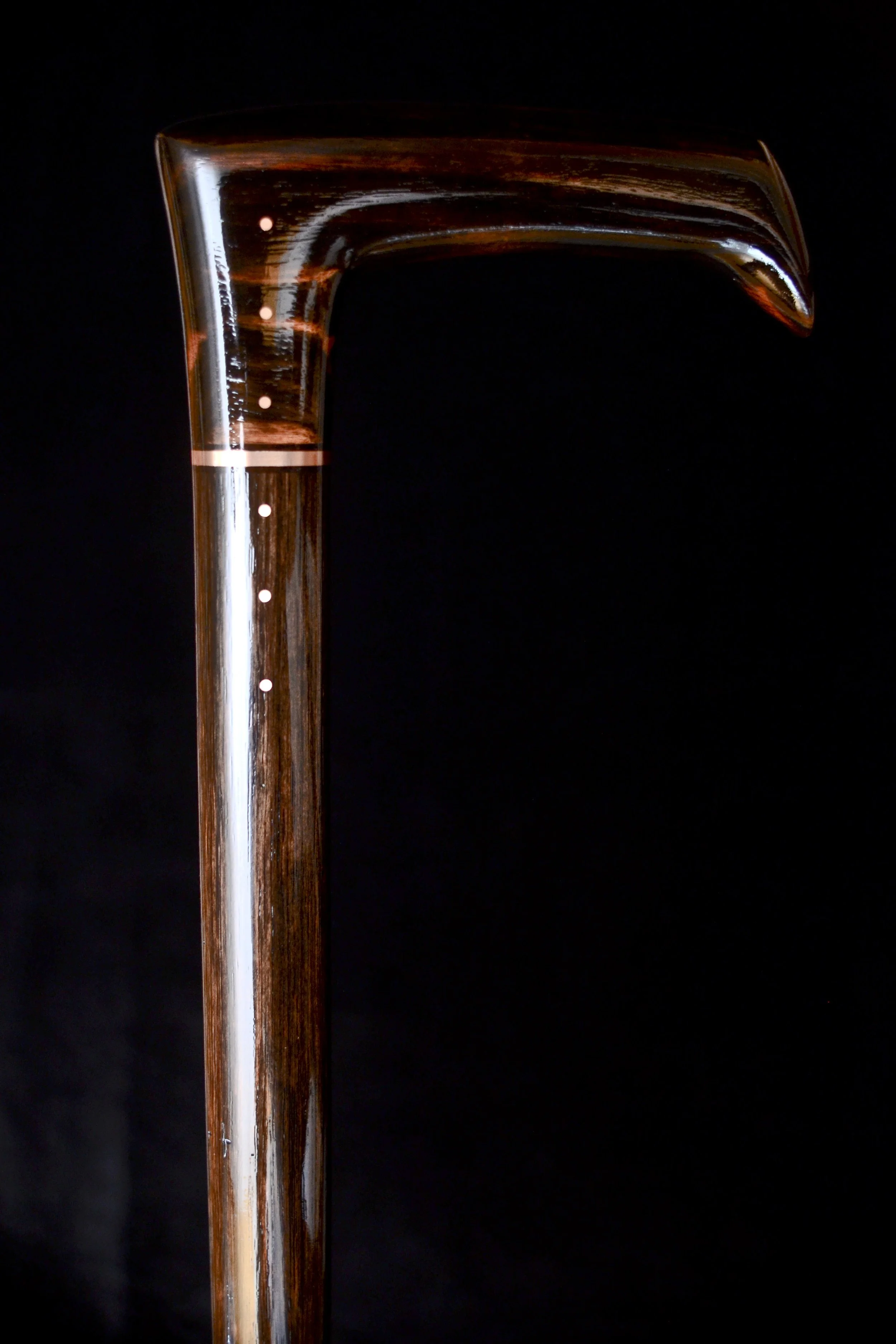 Ebony Modern 1.jpg