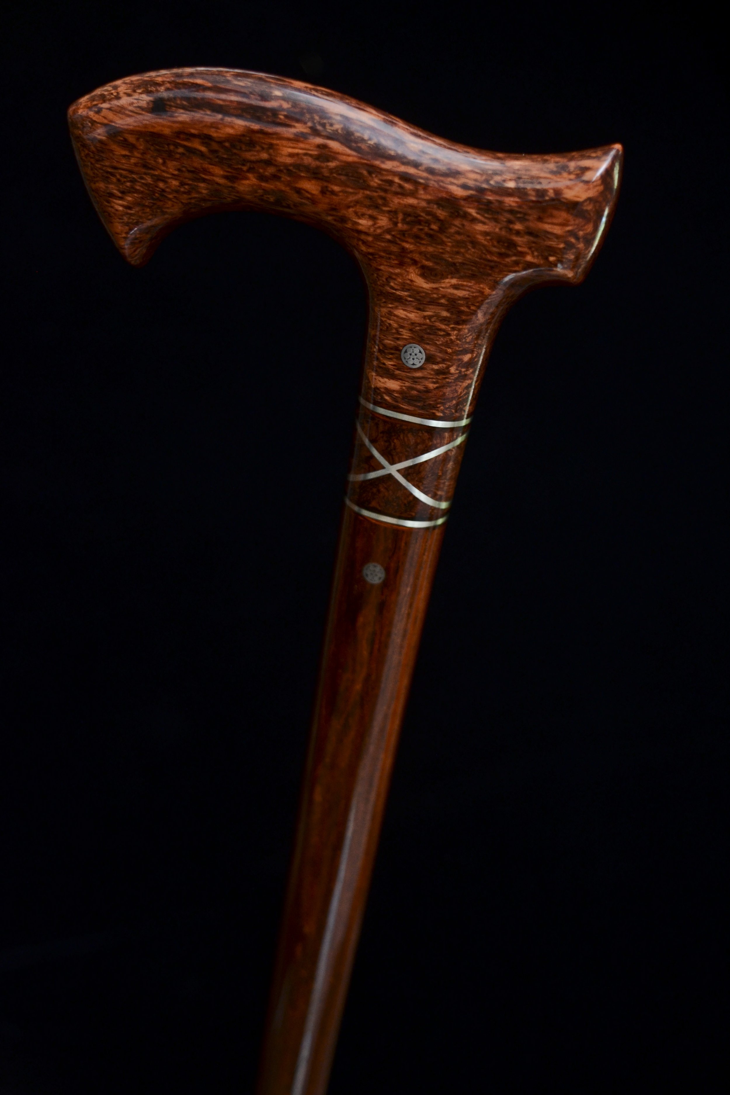 Siamese, Cocobolo 4.jpg