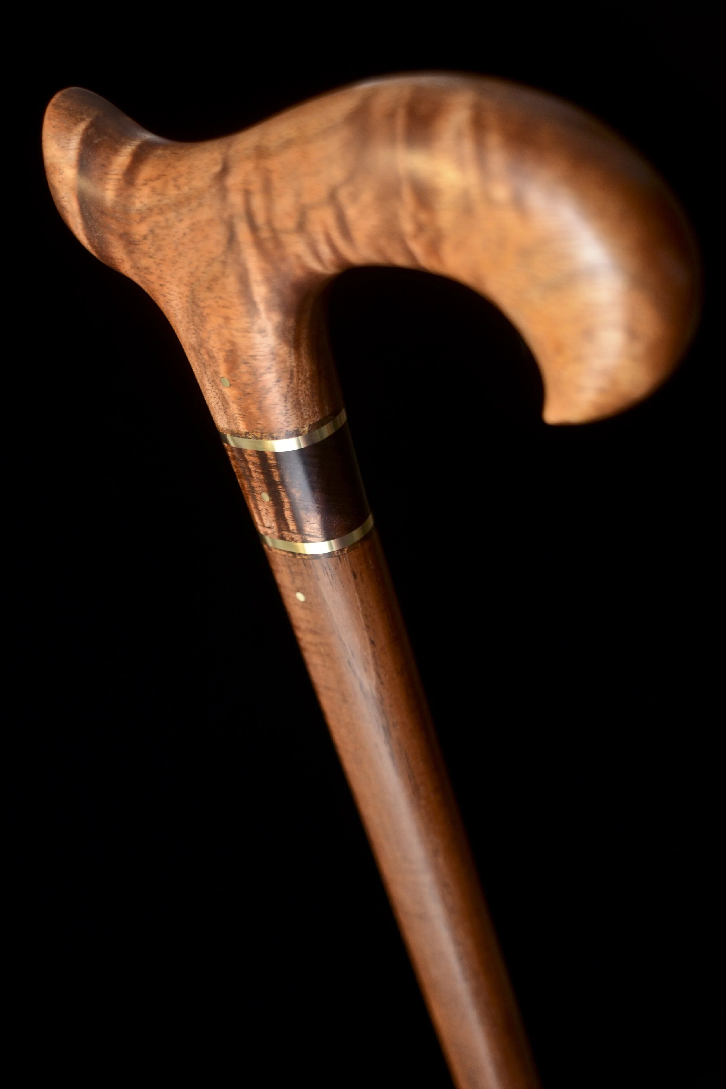 Tasmanian Blackwood, Tzalam 5.jpg